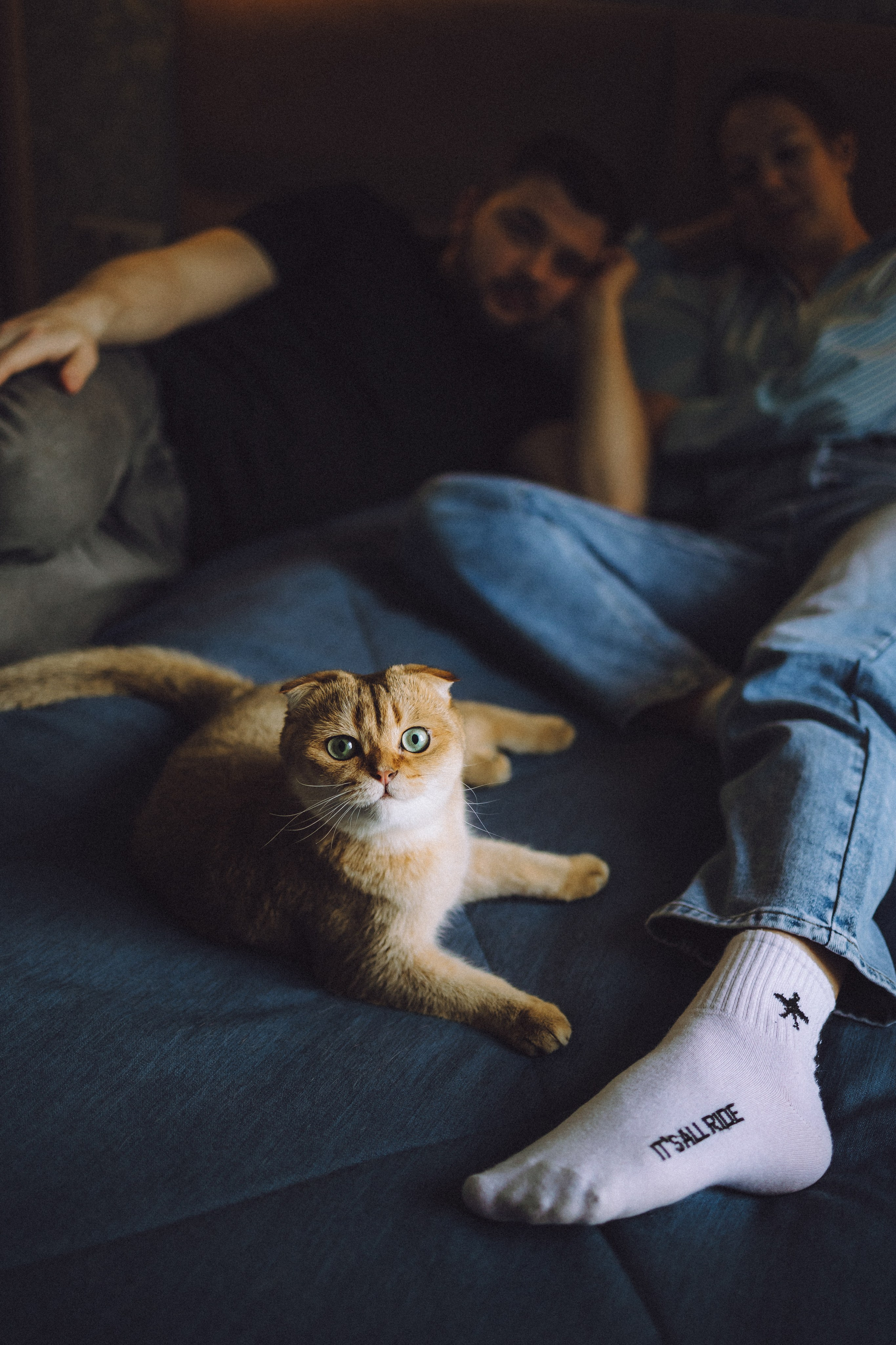 Генри и его семья