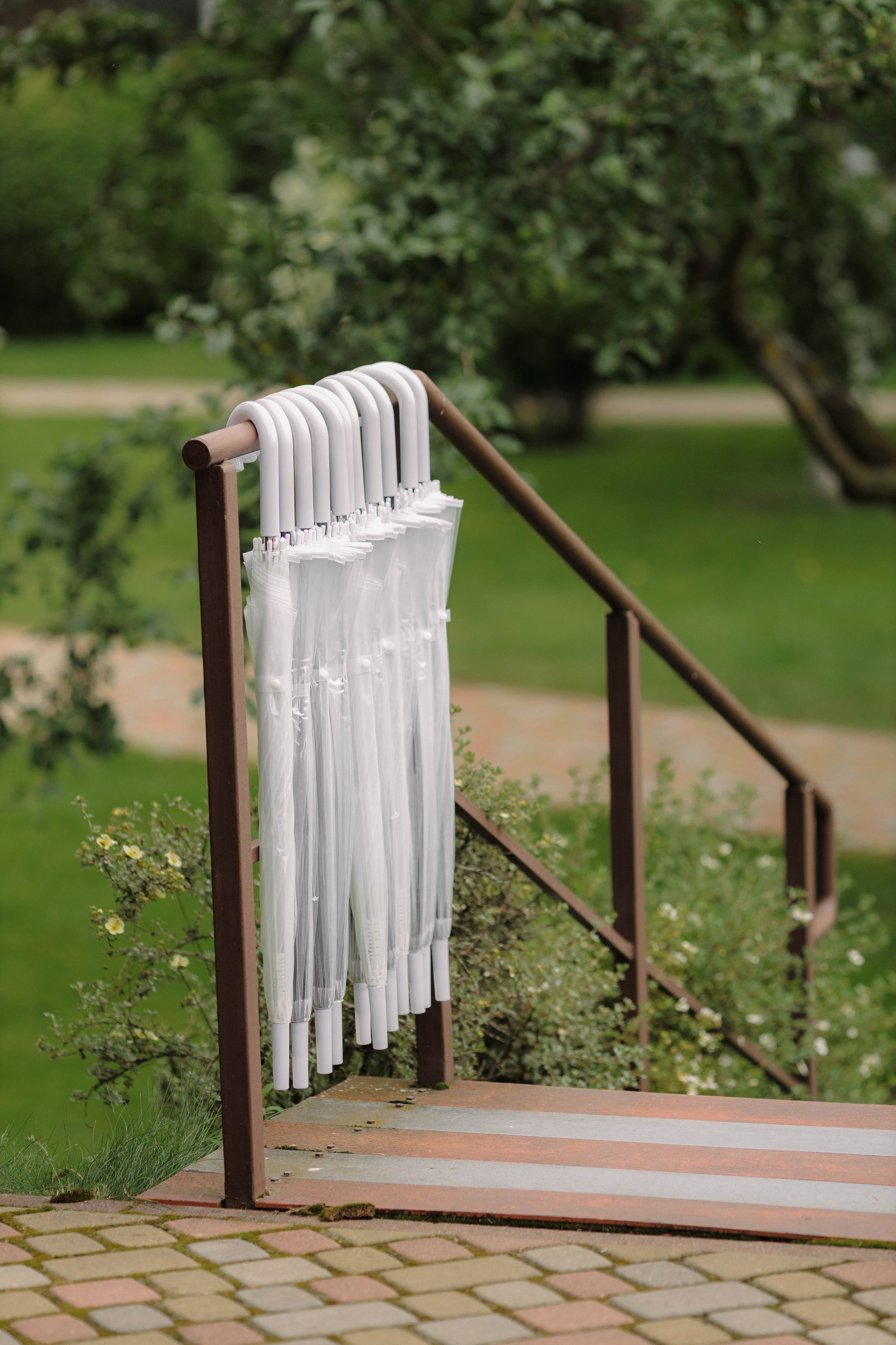 Зеленый сад