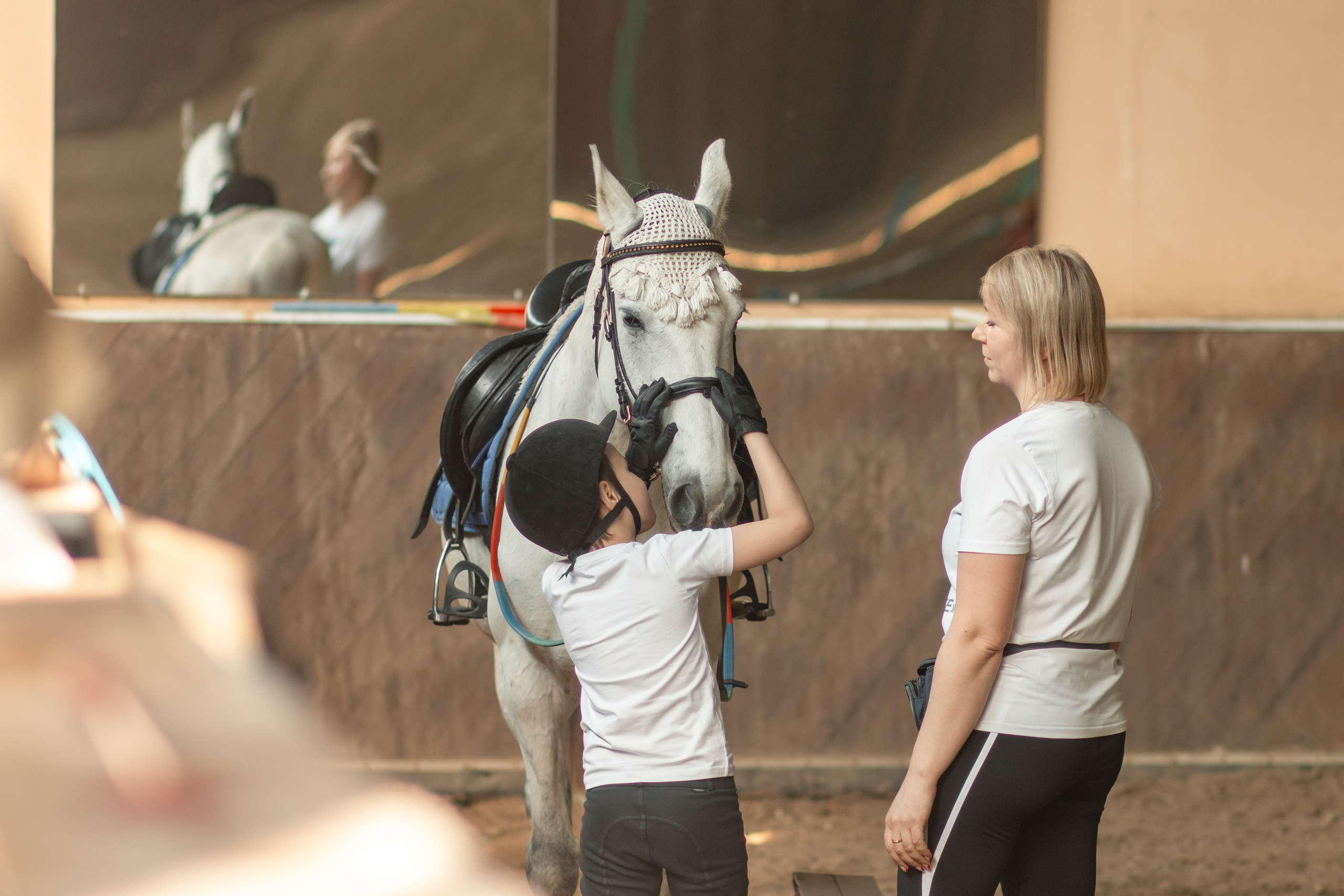 Новости конного спорта