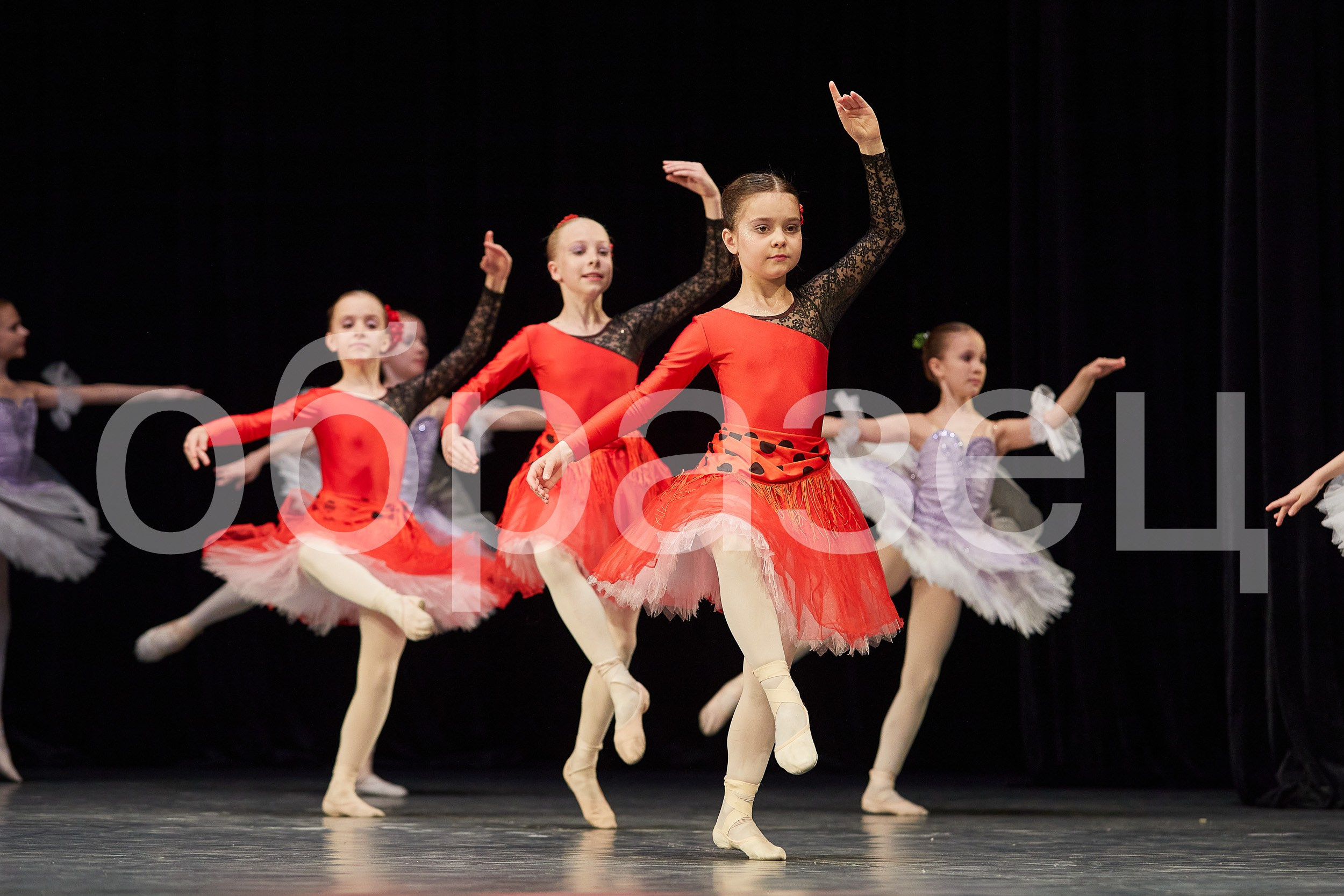 АНОНС фоторепортажа со второго дня Фестиваля «София-Русь». Photographer for business Mikhail Semenov. Aqua photo studio, photo school