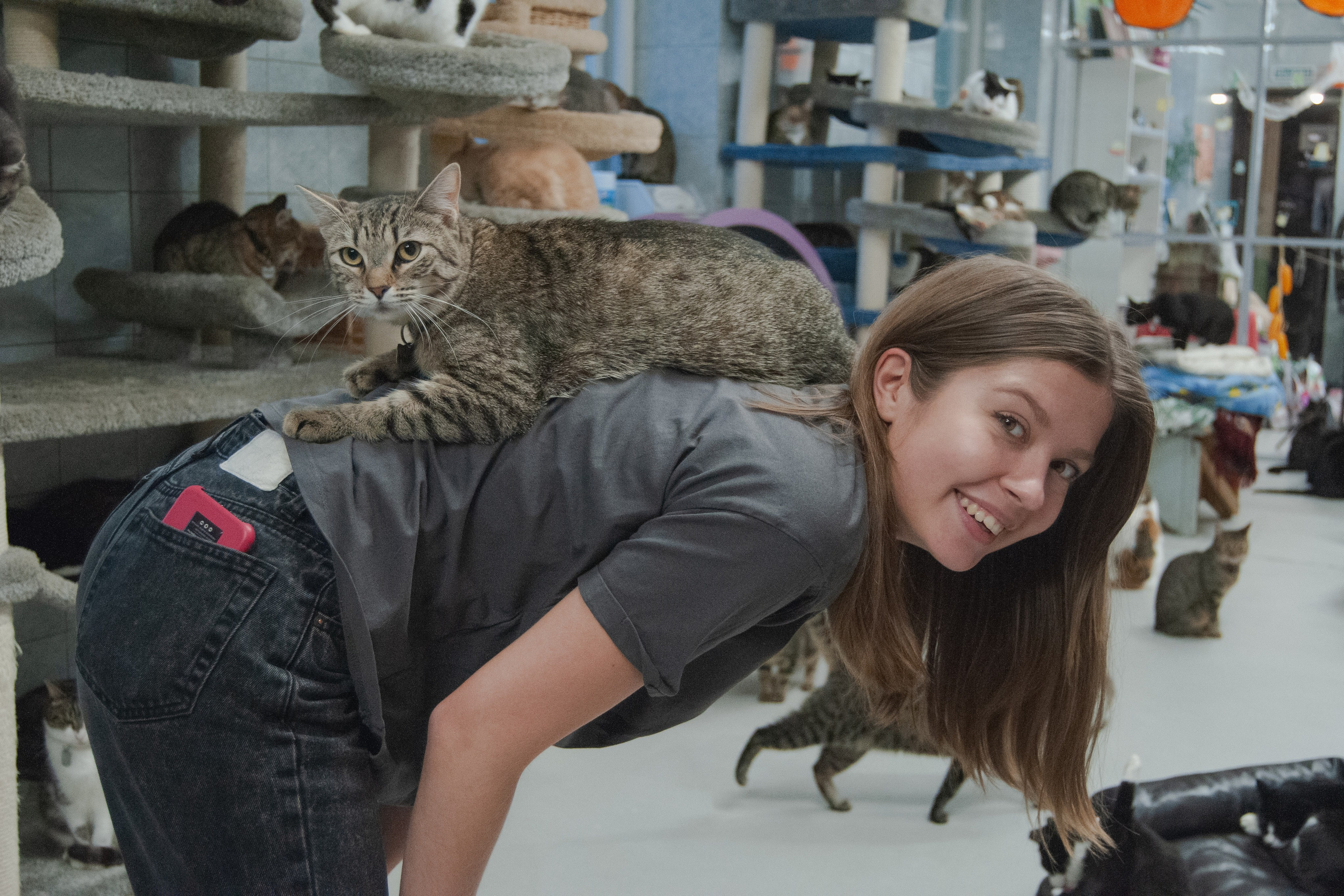 Репортажная съёмка. Главная