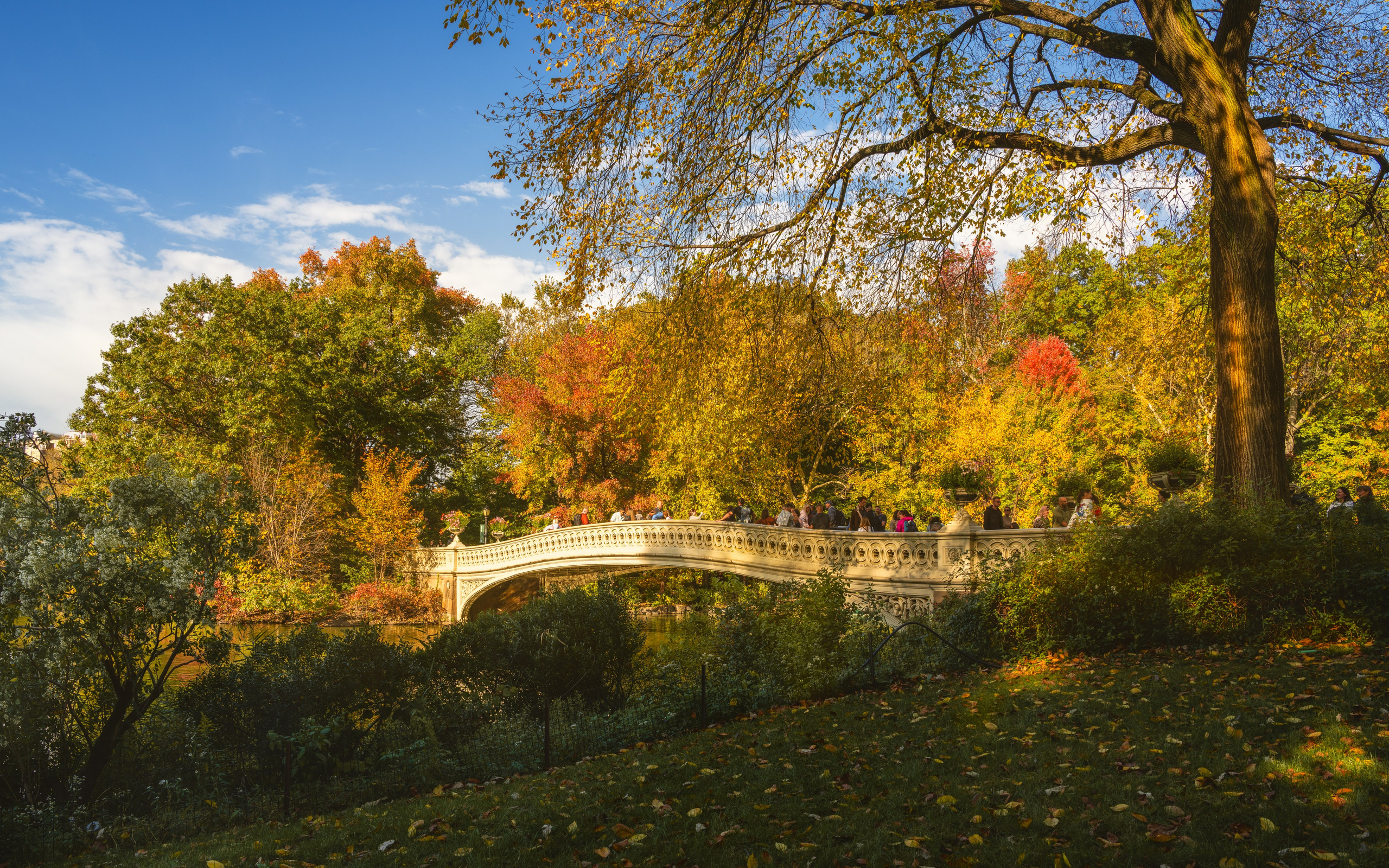 New York. Serge Sadov about landscape, cityscape, travel