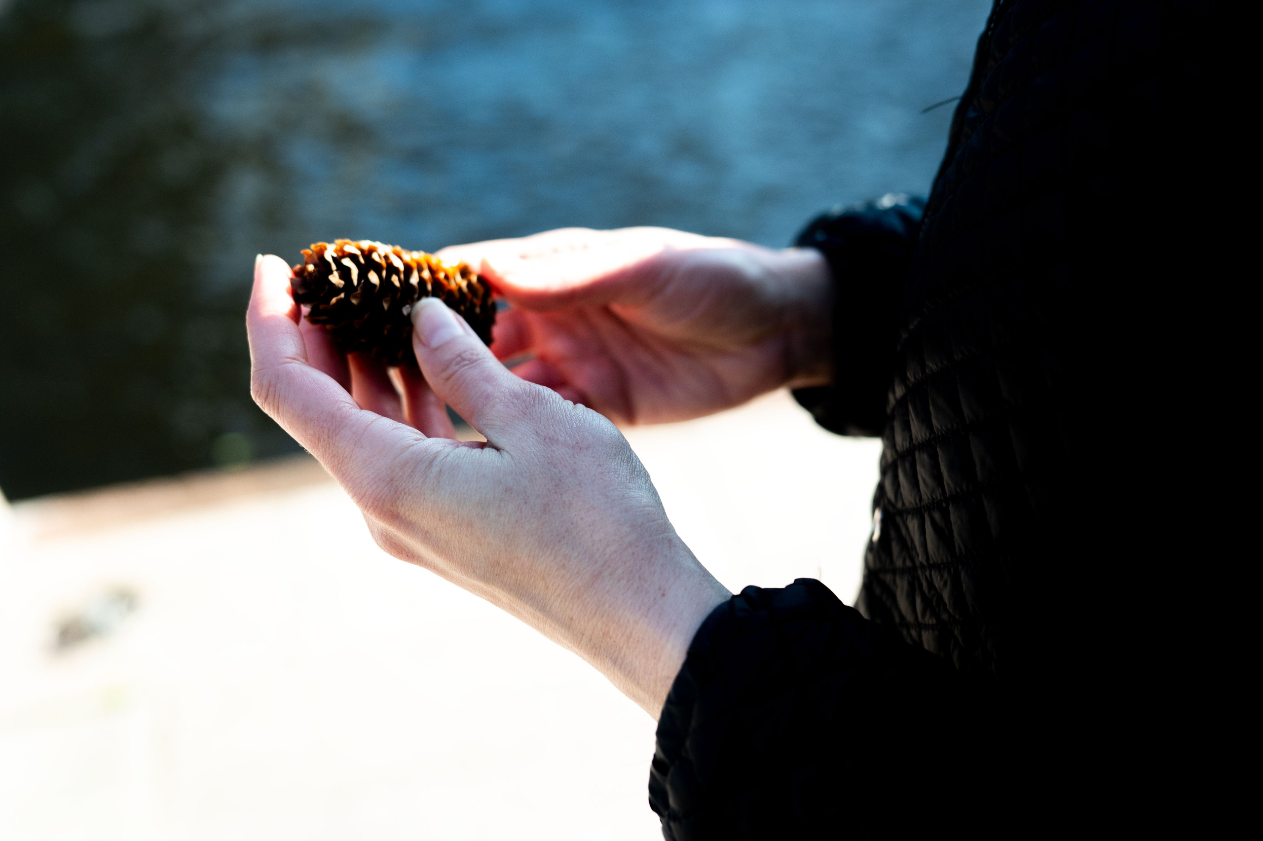 Штормовое предупреждение. May the numbers guide us