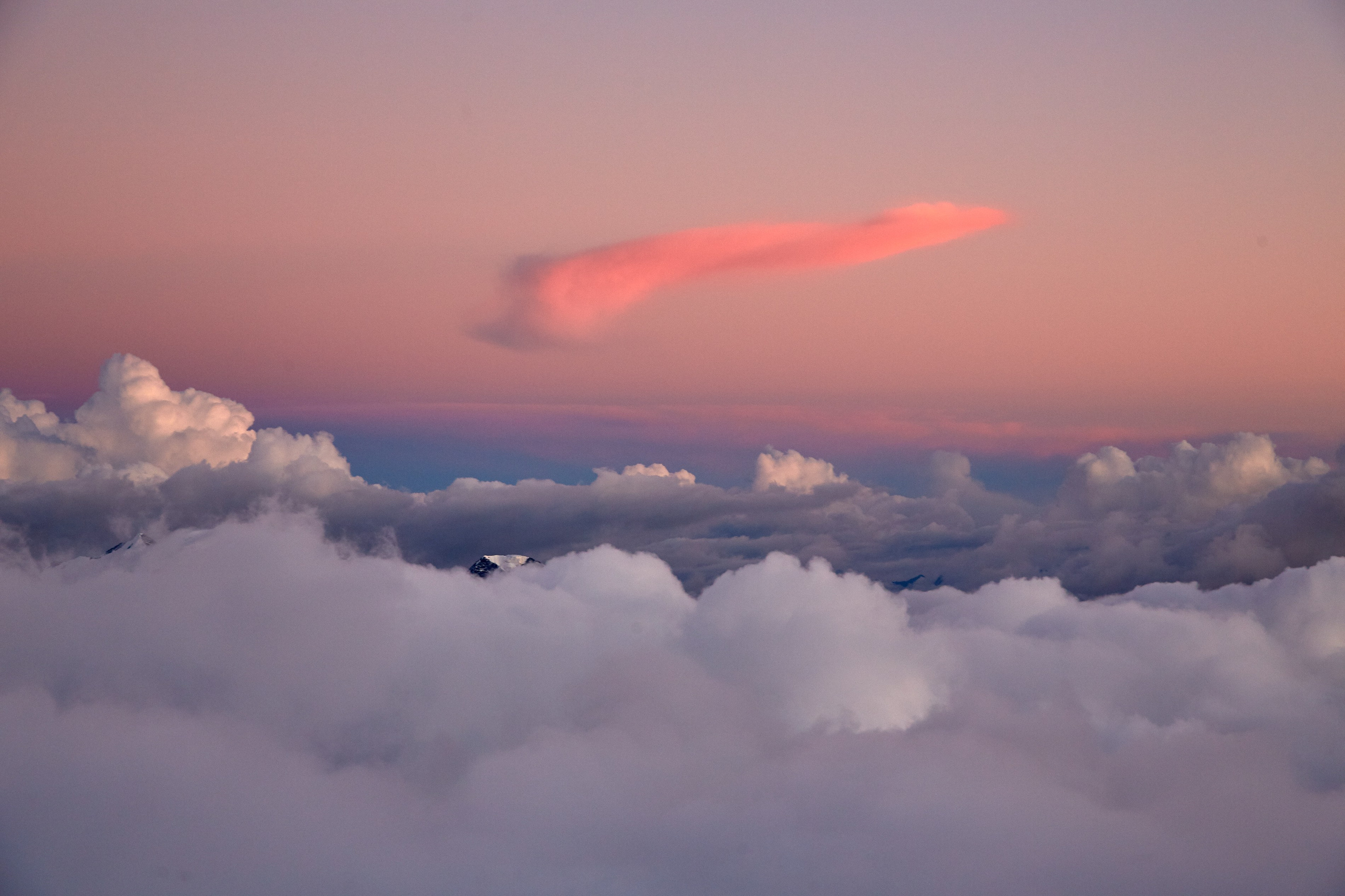 Путешествия