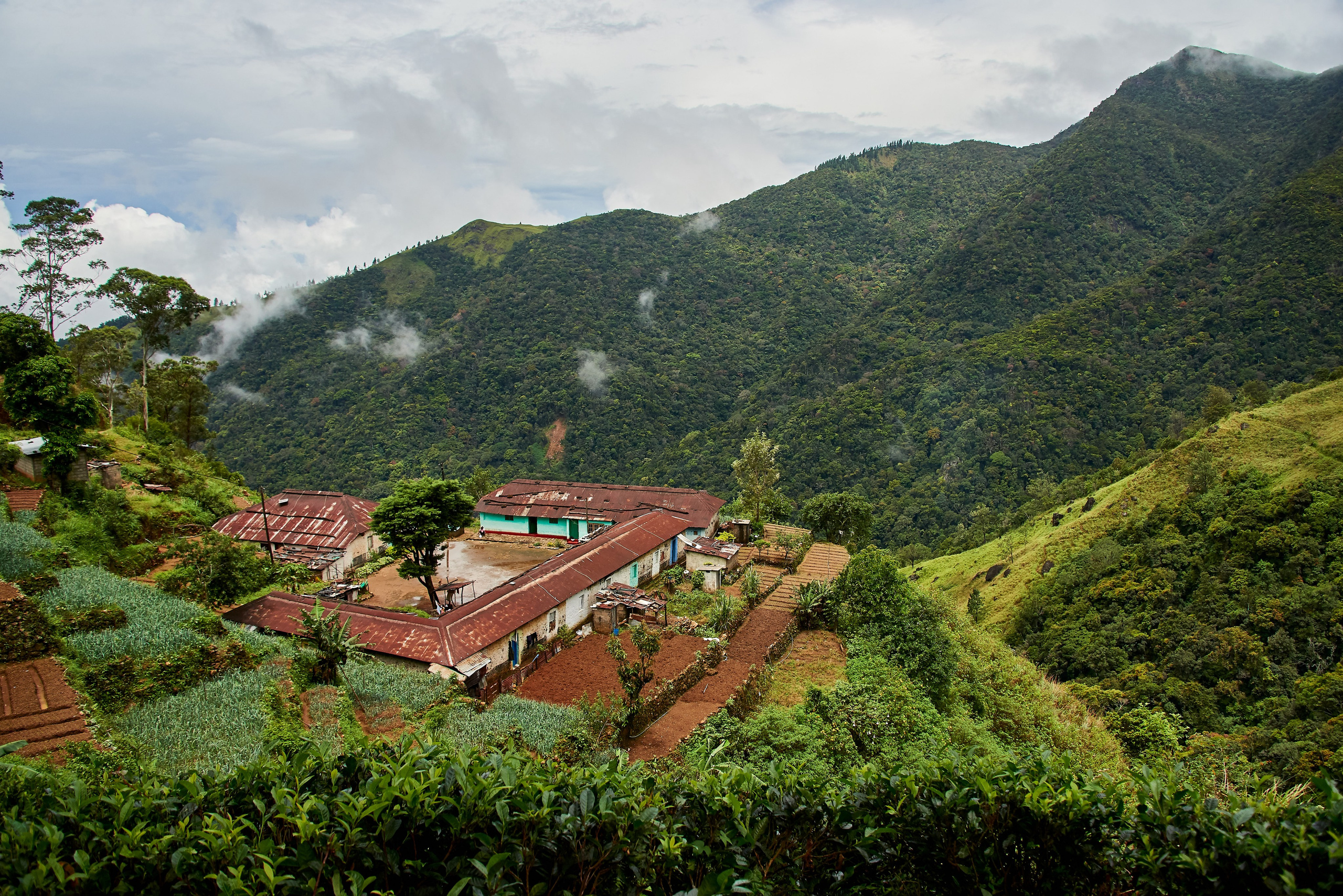 Moto Trip 23-05-19. Никита Хохловский фото и видео продакшн