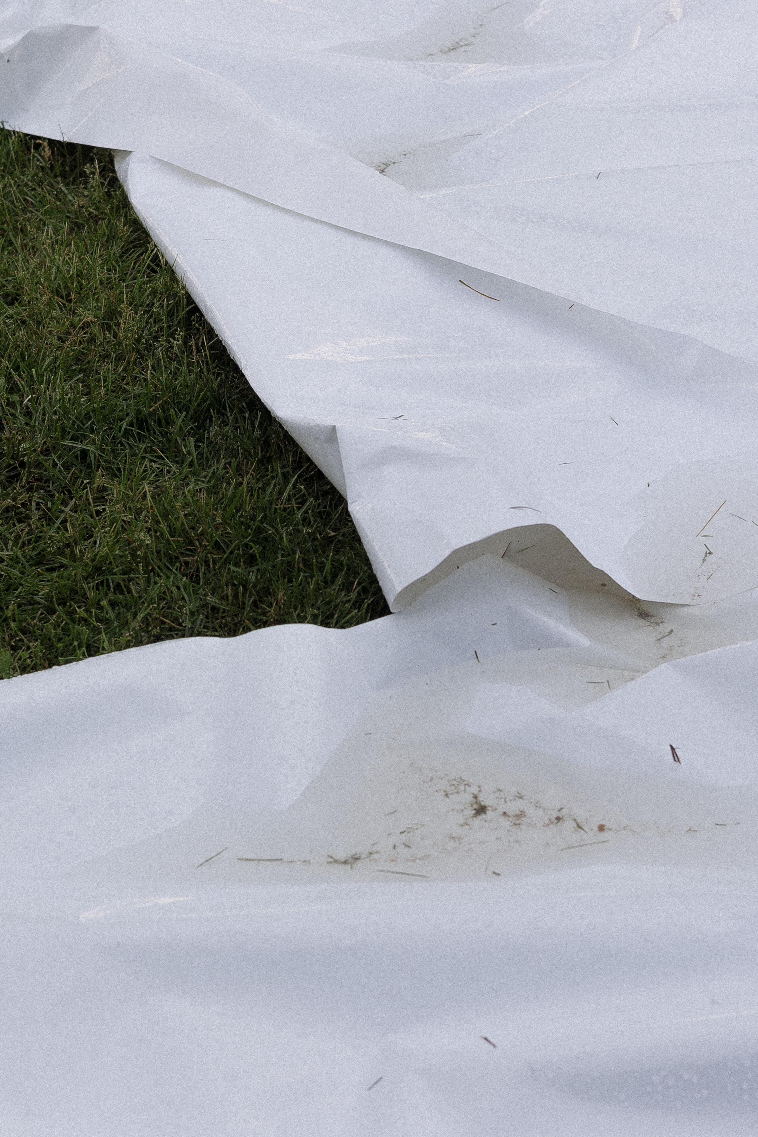 Анонс Wedding day Данил и Алина. Свадебный фотограф Колесников Антон