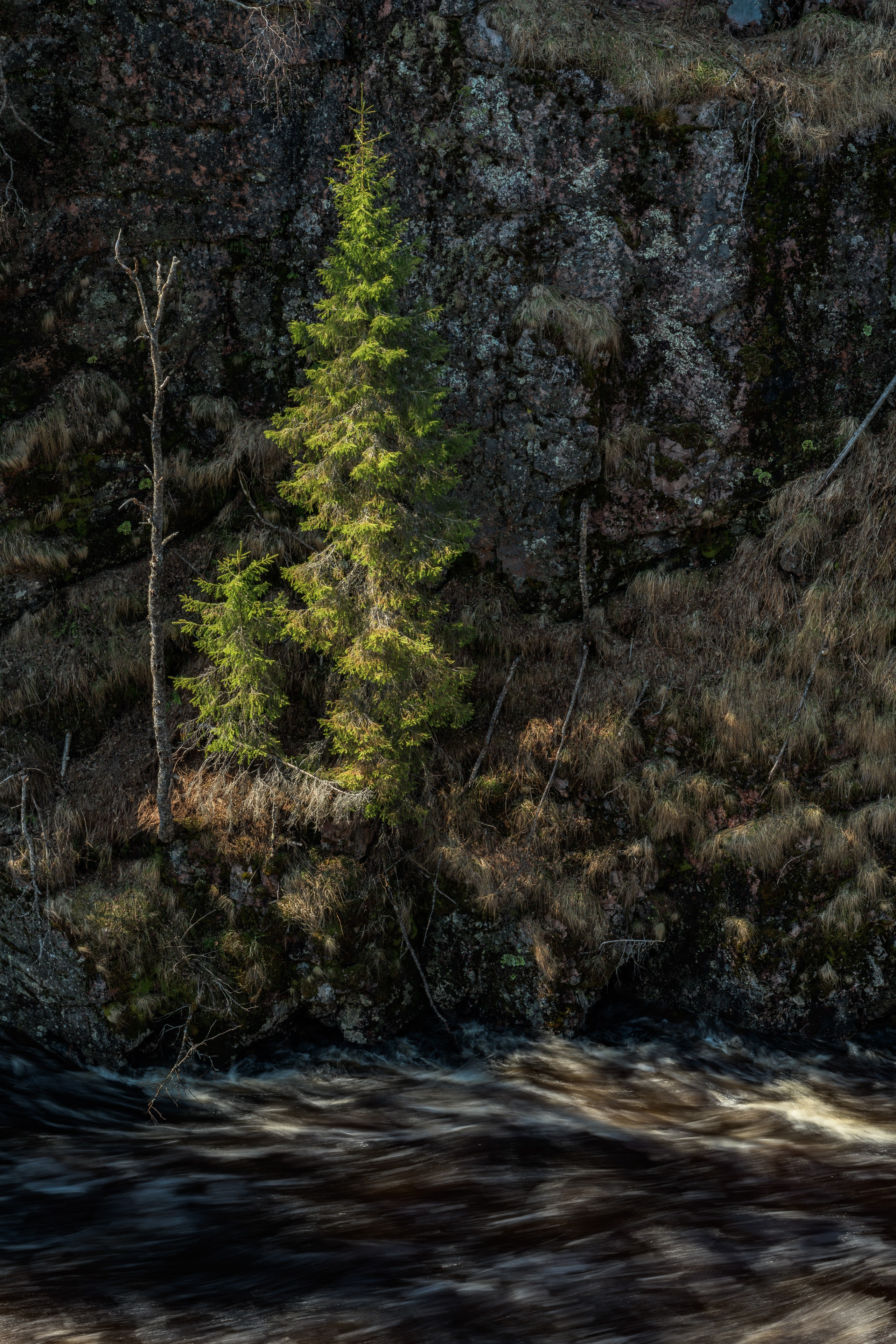 Весна. Северные Ночи