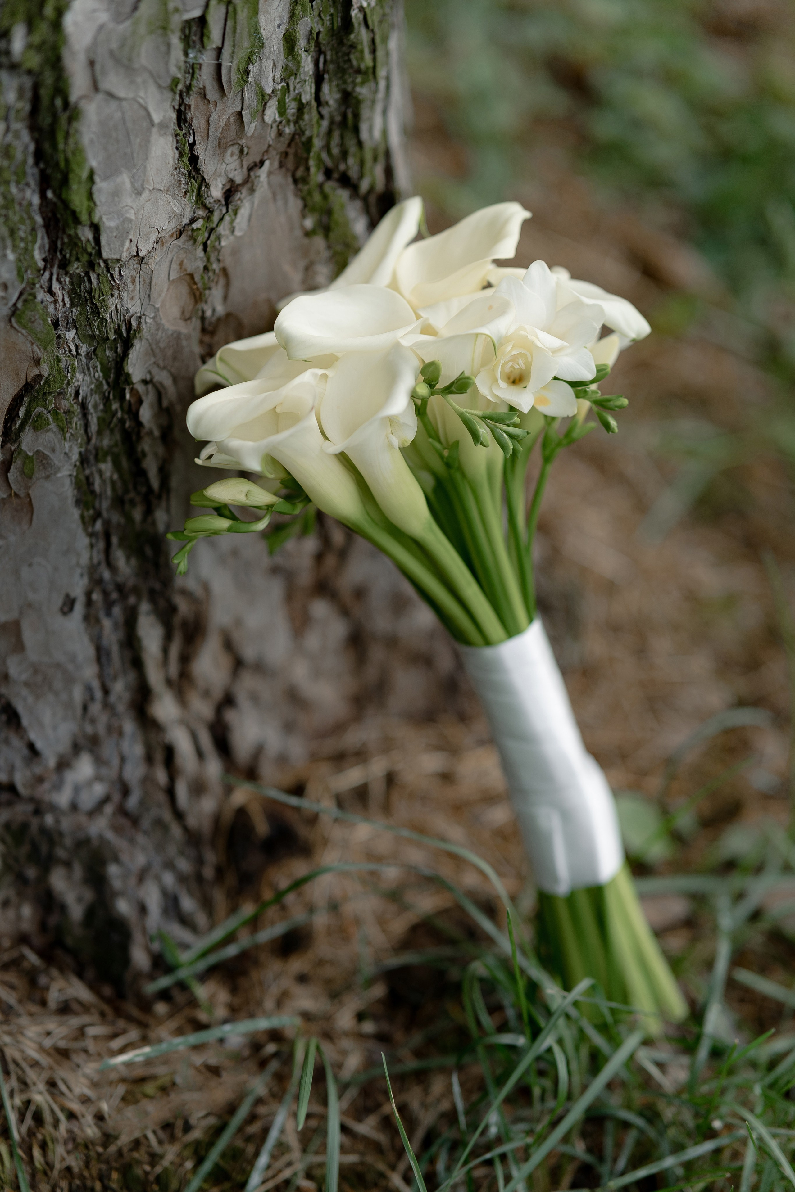 Владимир & Яна. RETOUCH-HOUSE