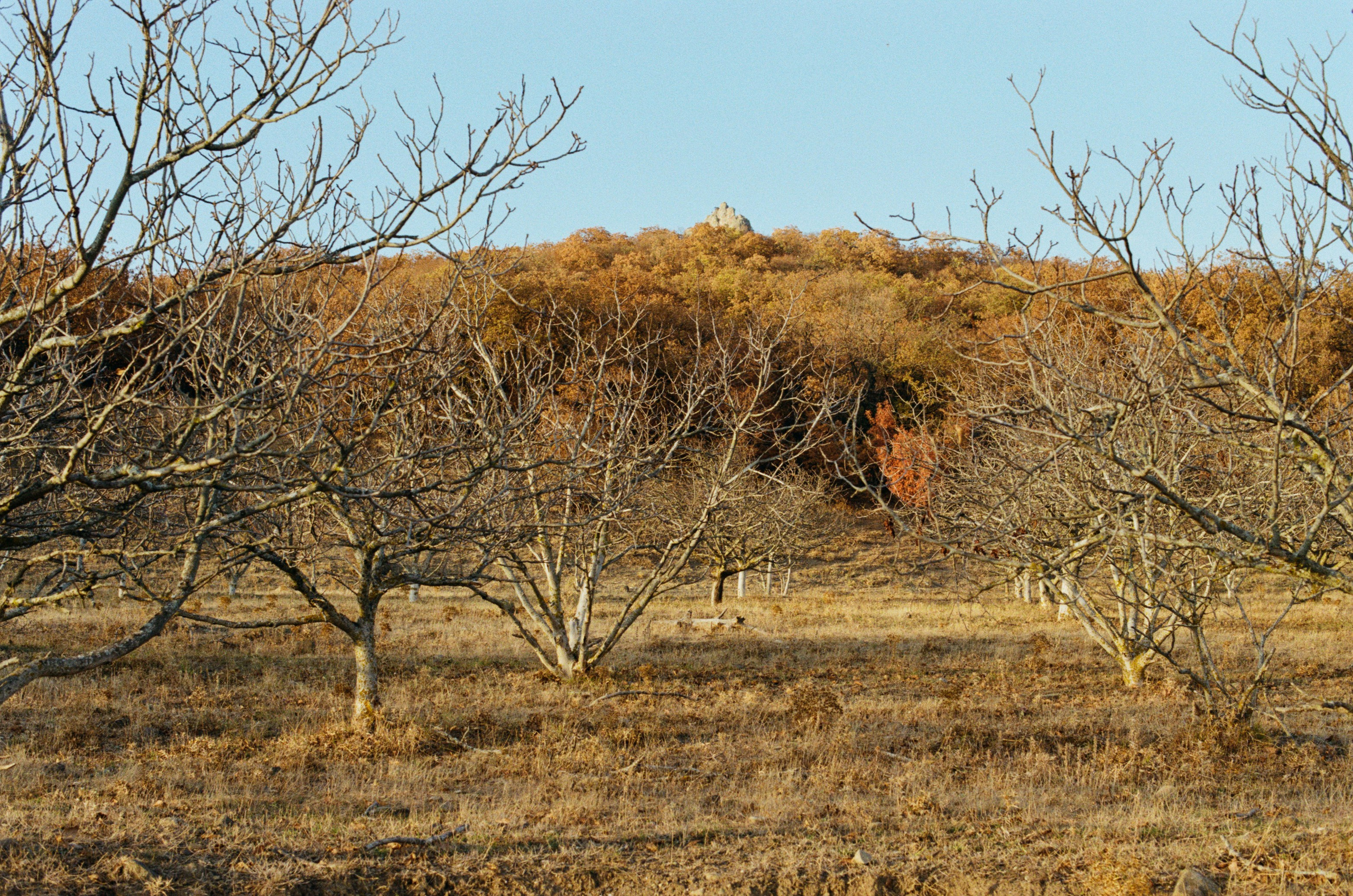 Wherever you will go // ukraine, crimea VI. EVER EXPOSED