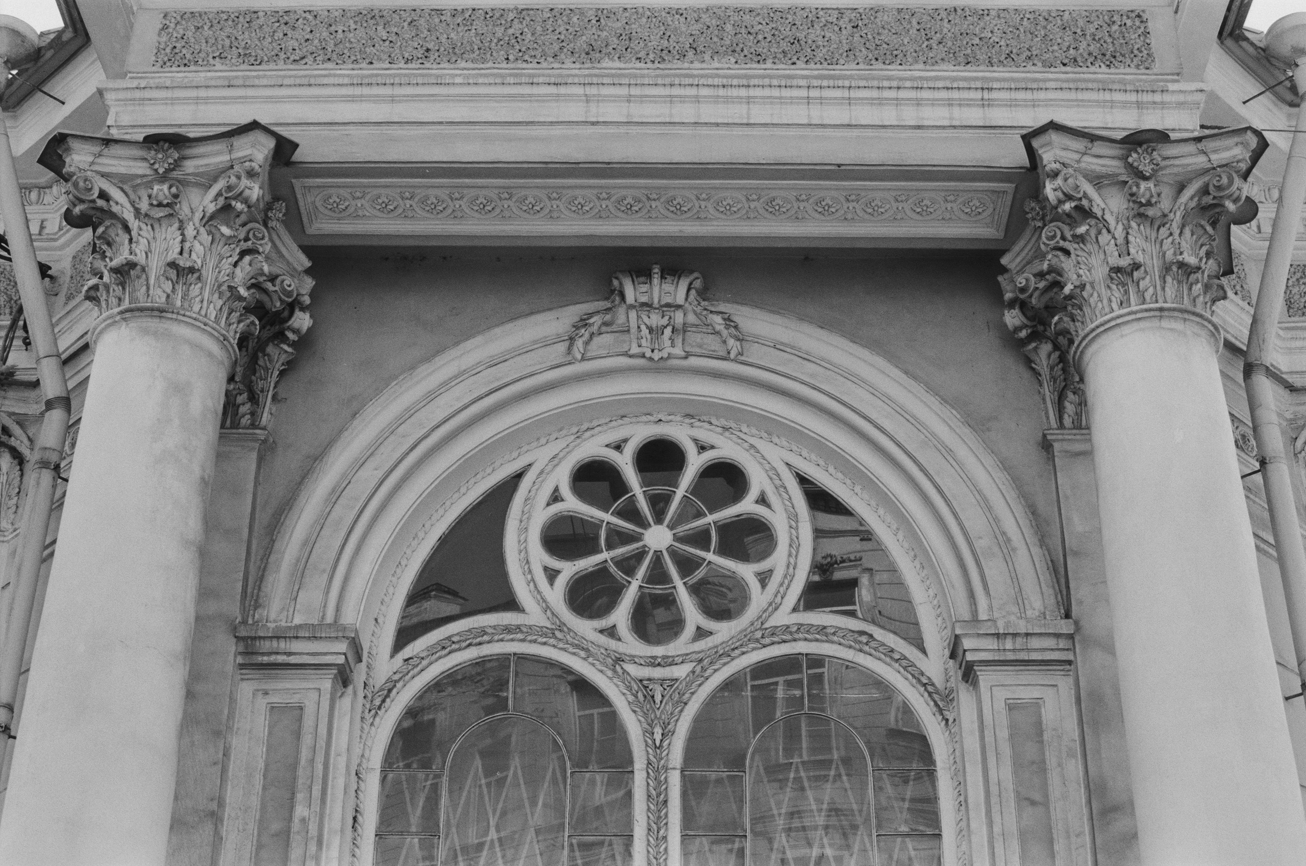 Black dog petersburg // st.-petersburg II. EVER EXPOSED