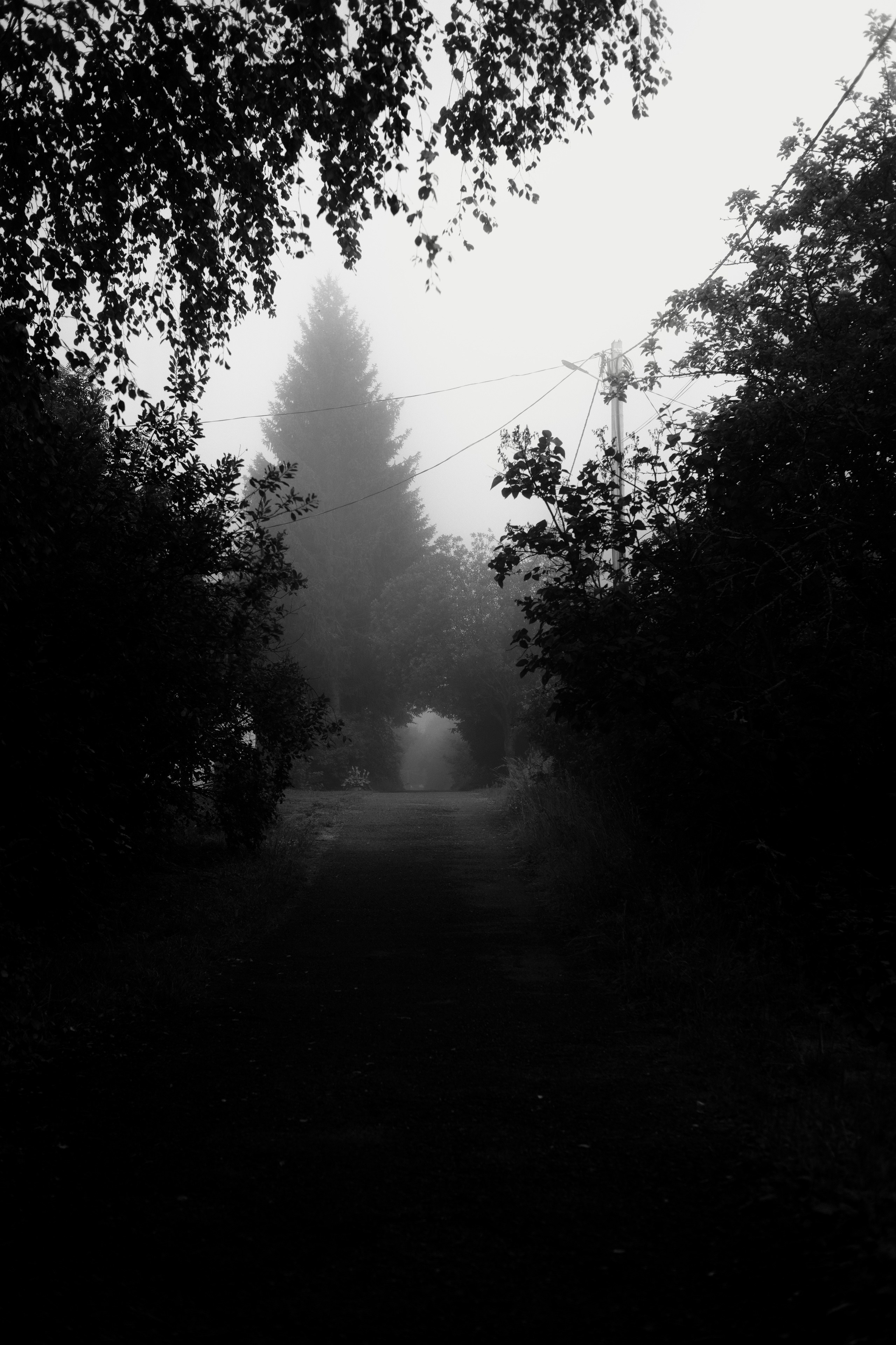 Природа. Фотограф Маргана Лоция