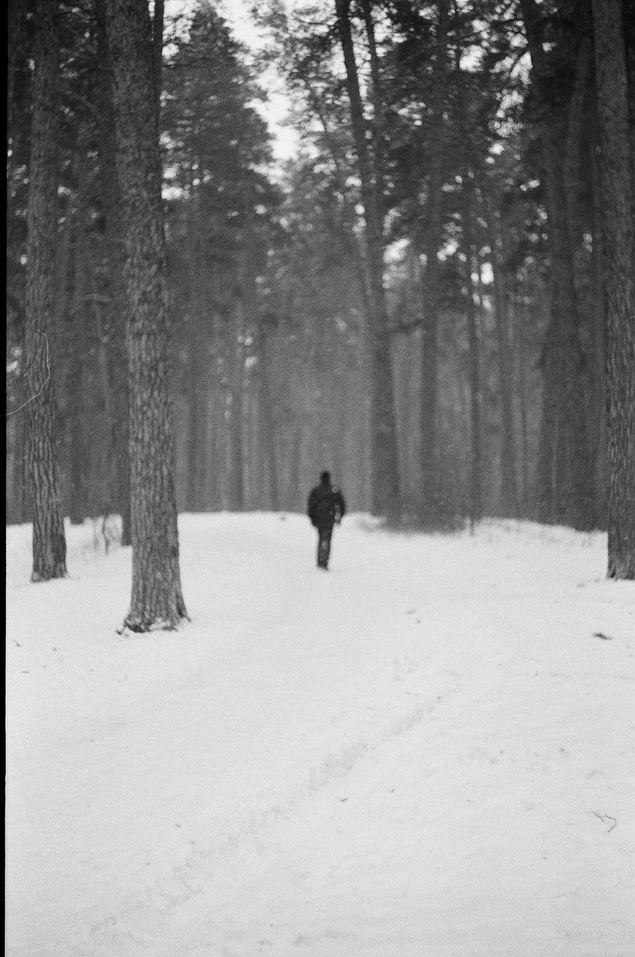 /все что вокруг. Kristina Rashkovskaya