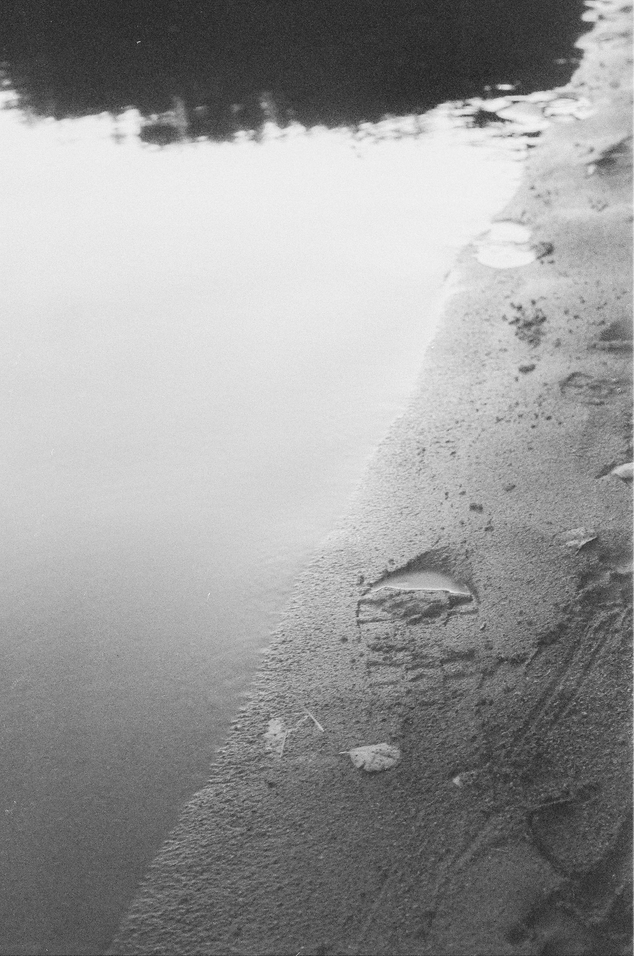 Плёнка 35/120мм. Katya Medvedeva