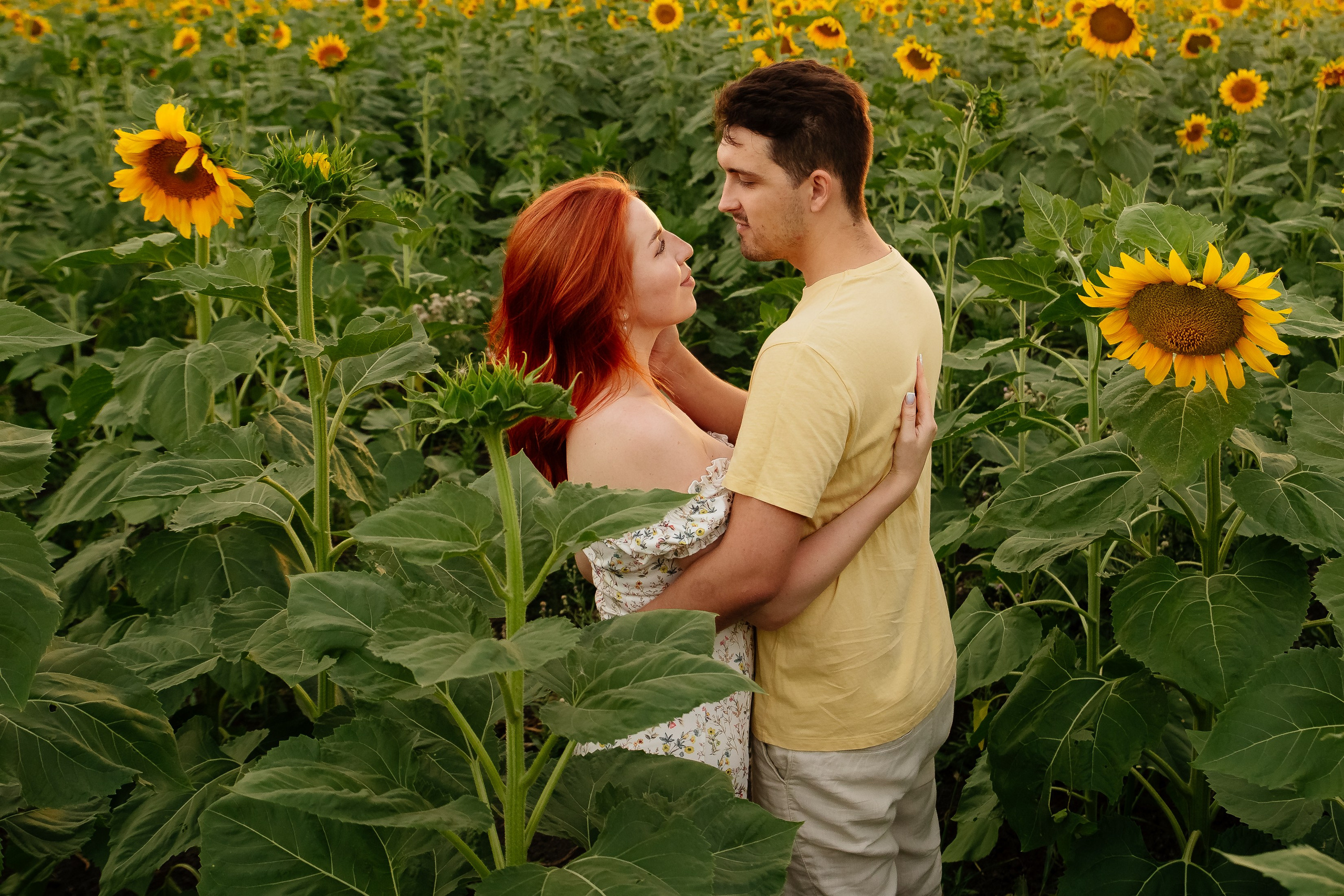Подсолнухи. Свадебный и семейный фотограф в Краснодаре Илонна Ковалева