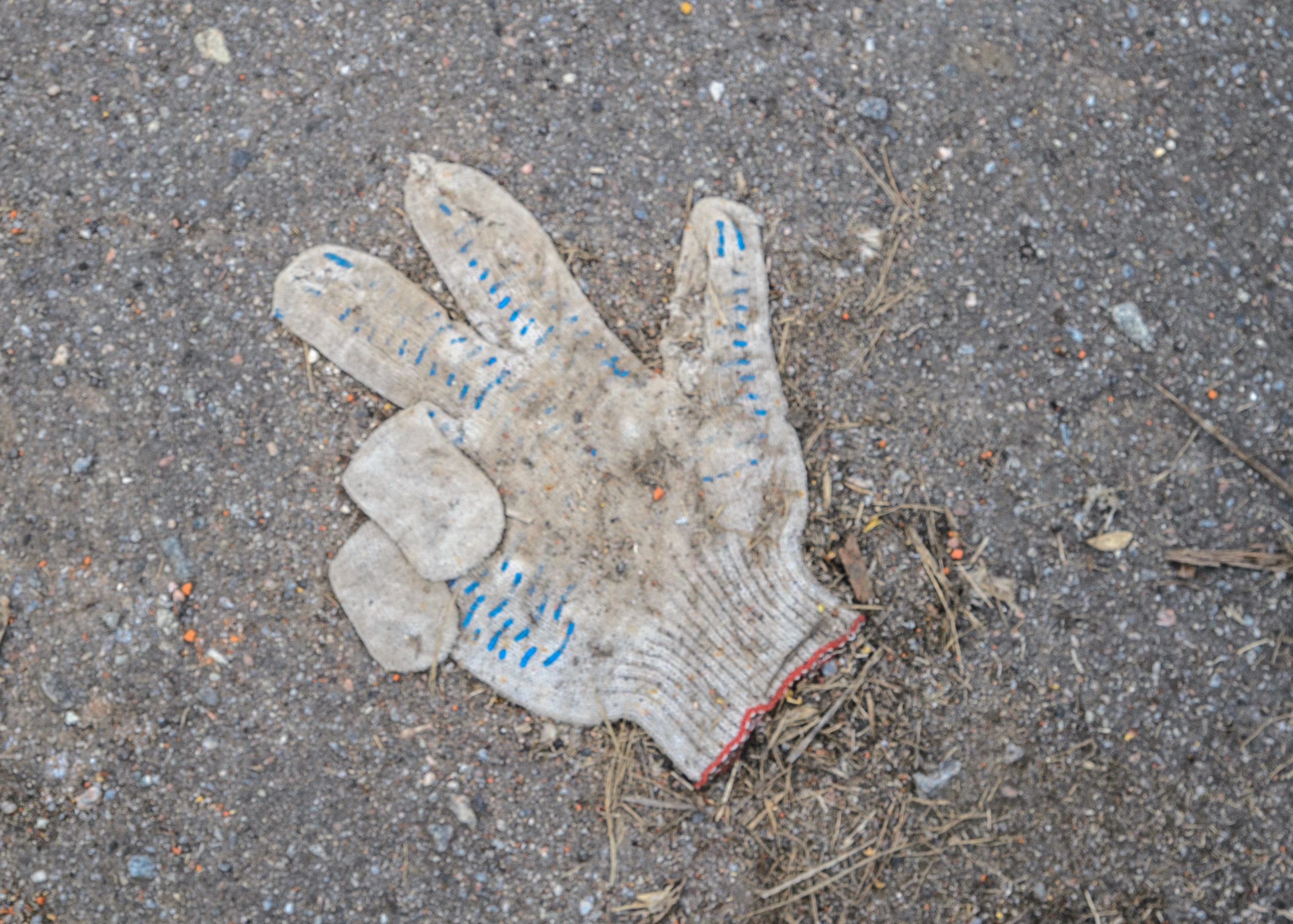 Интересное рядом. Фото, видео, монтаж