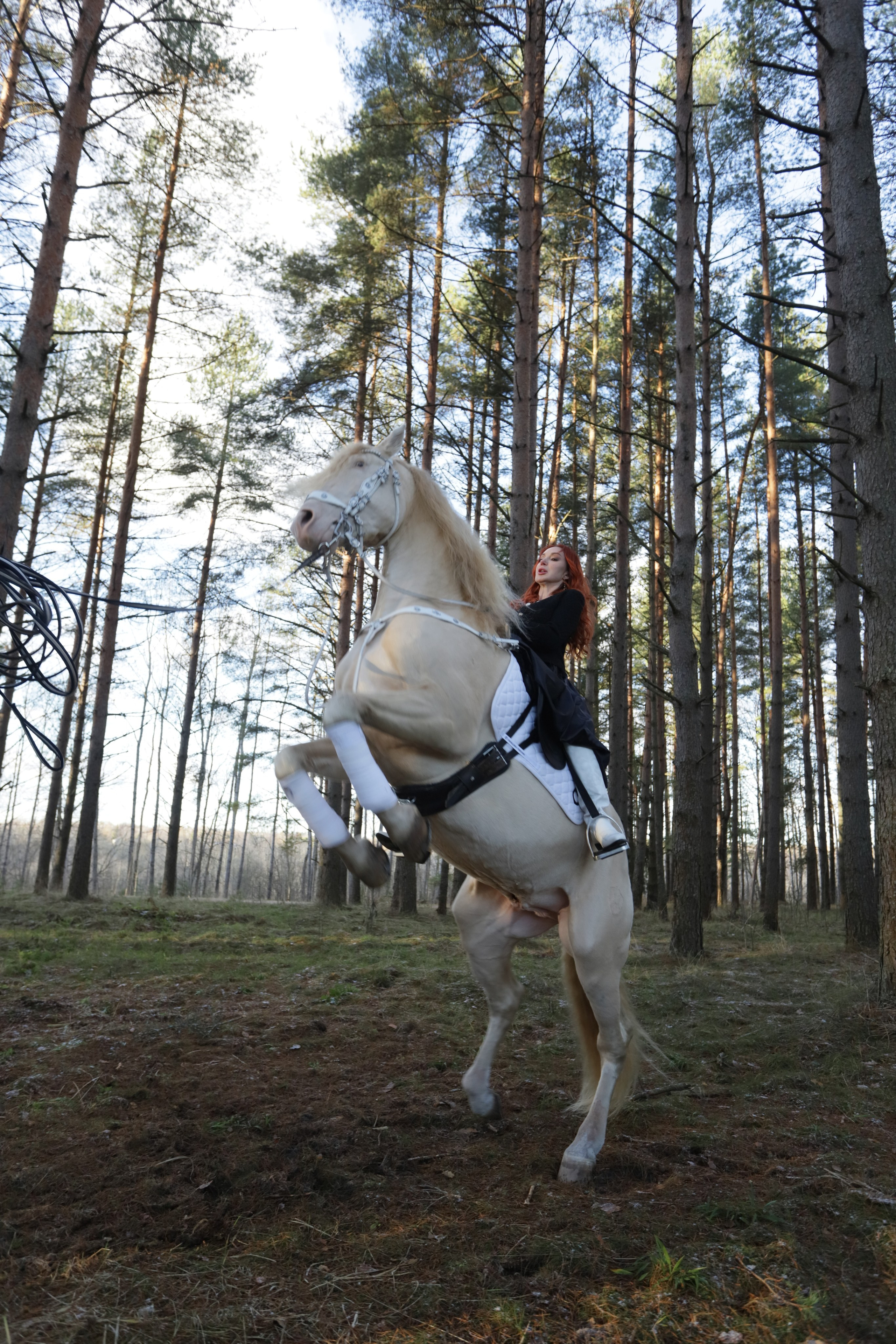 Галерея. KS Parfume