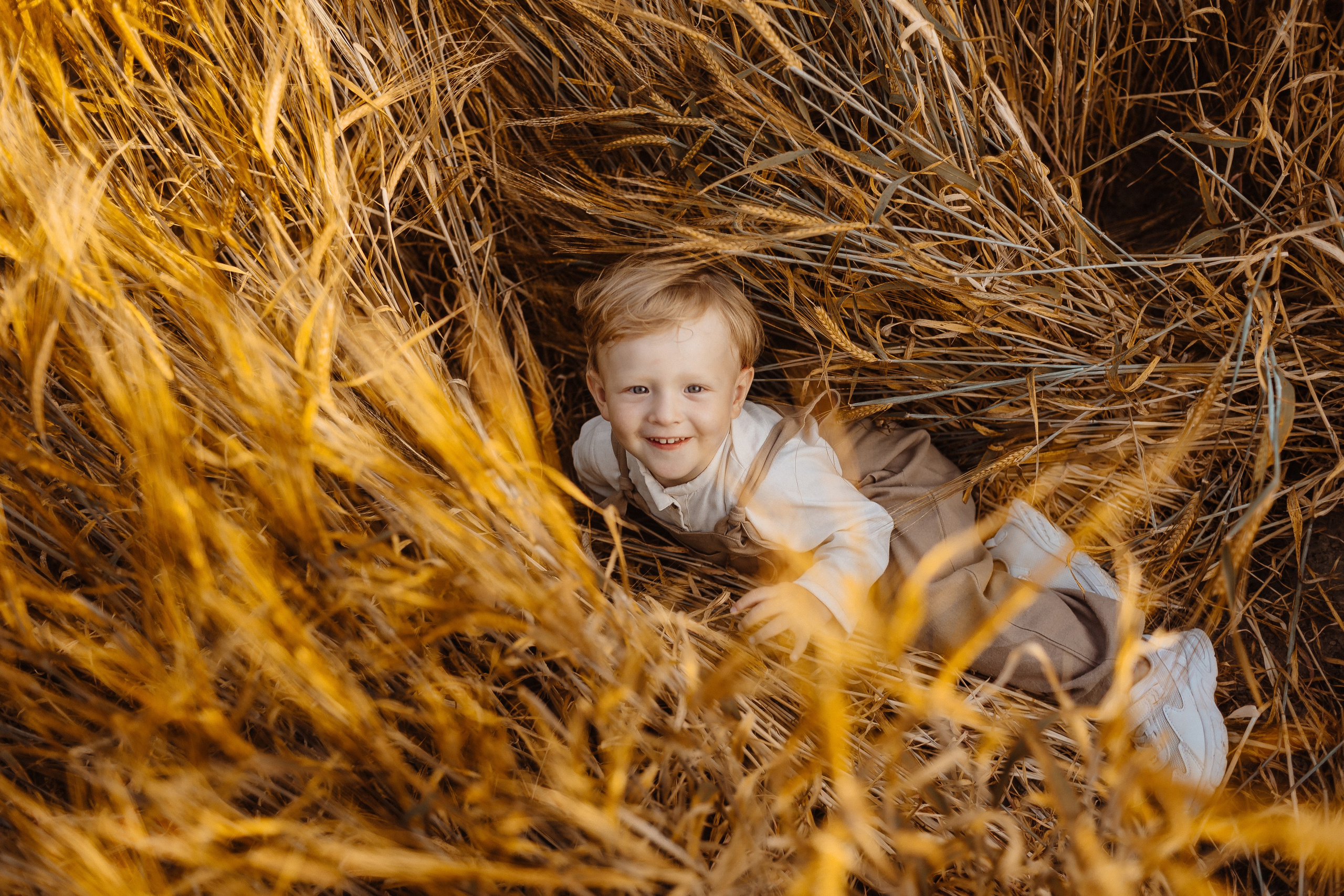Золотое счастье. Фотограф Лодейное Поле Екатерина Герасимова в Санкт-Петербурге и Лен. области