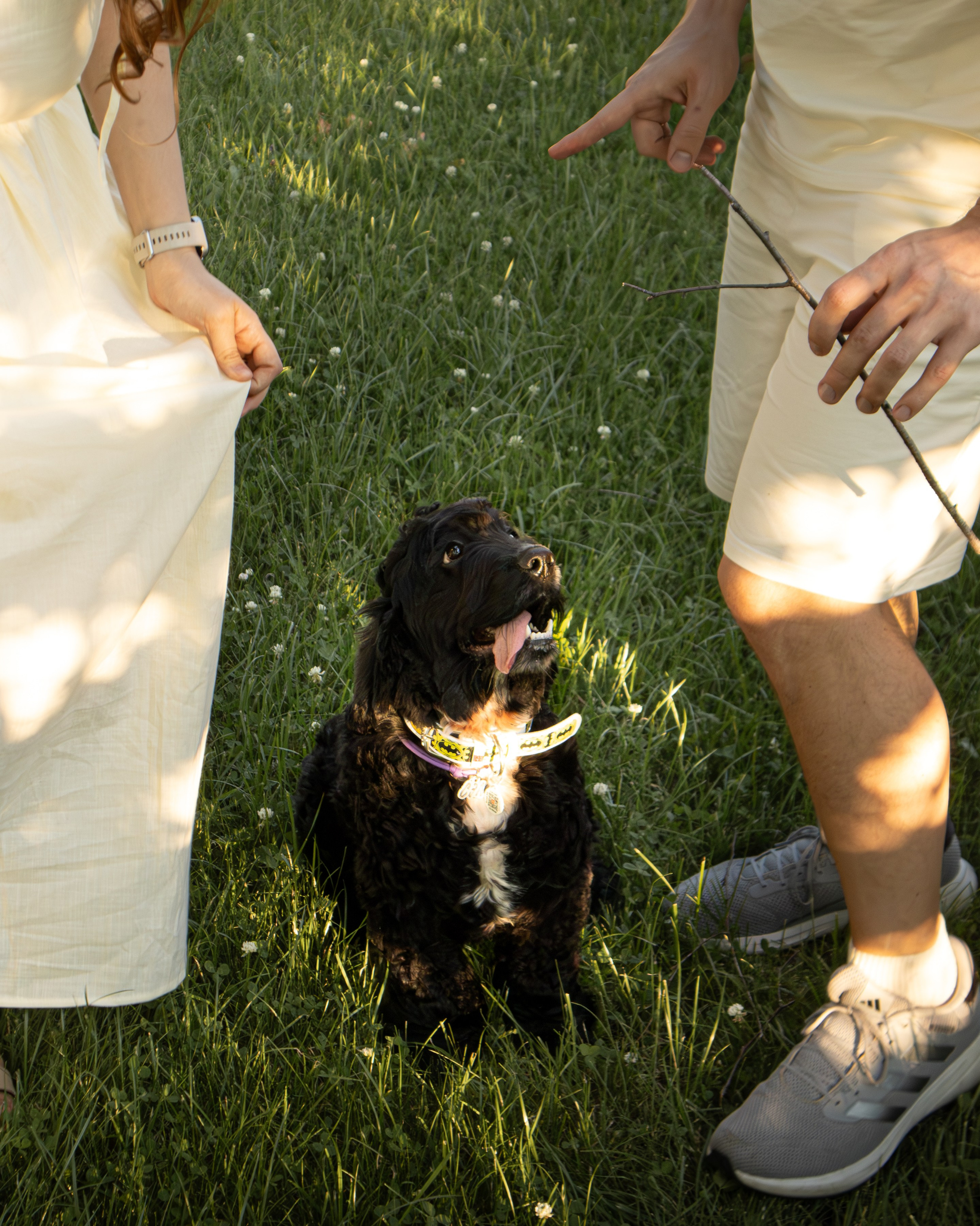 С животными. Фотограф Новосибирск, Академгородок, Бердск — Айна