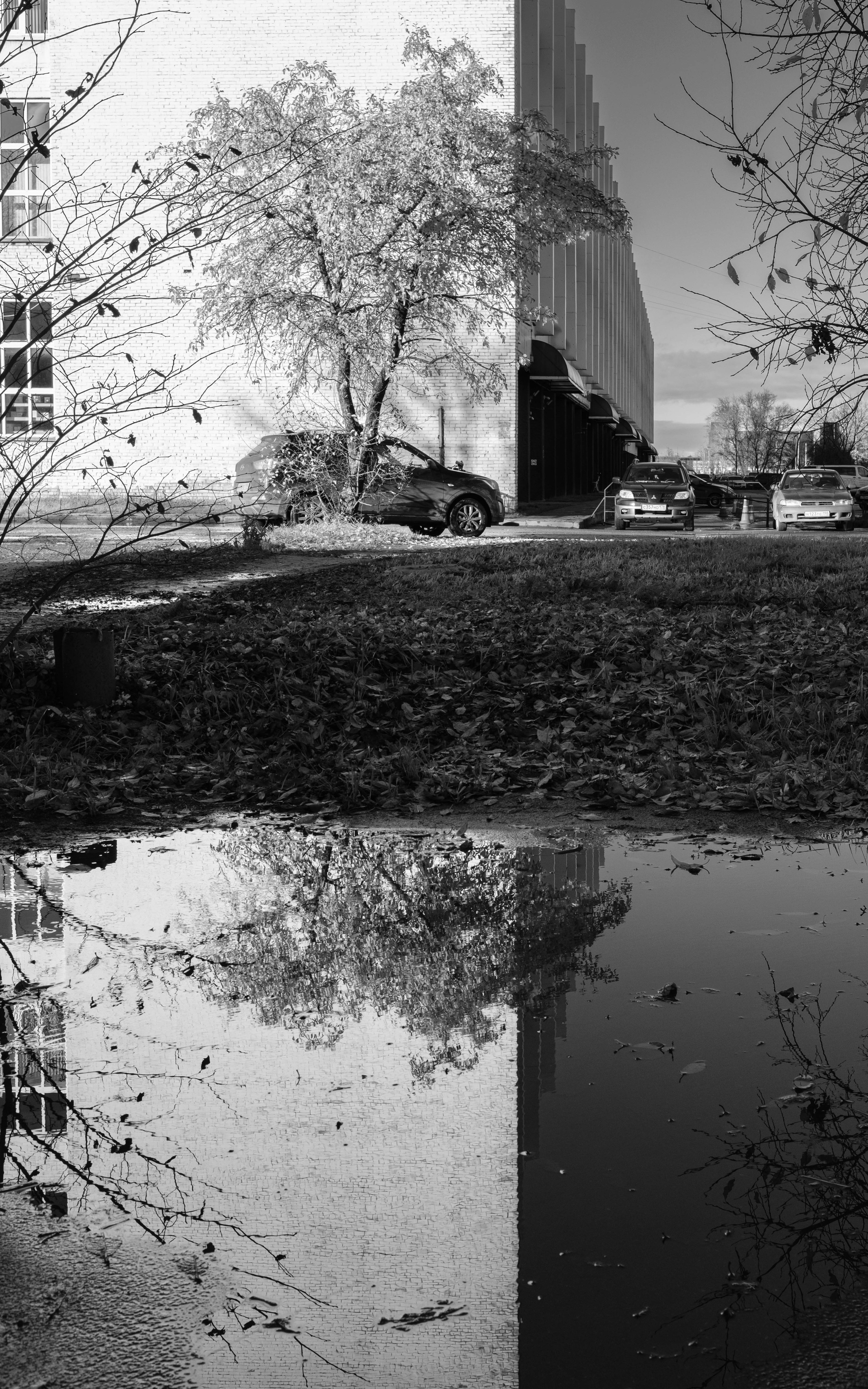 Уличный репортаж. Фотограф Балаев Михаил