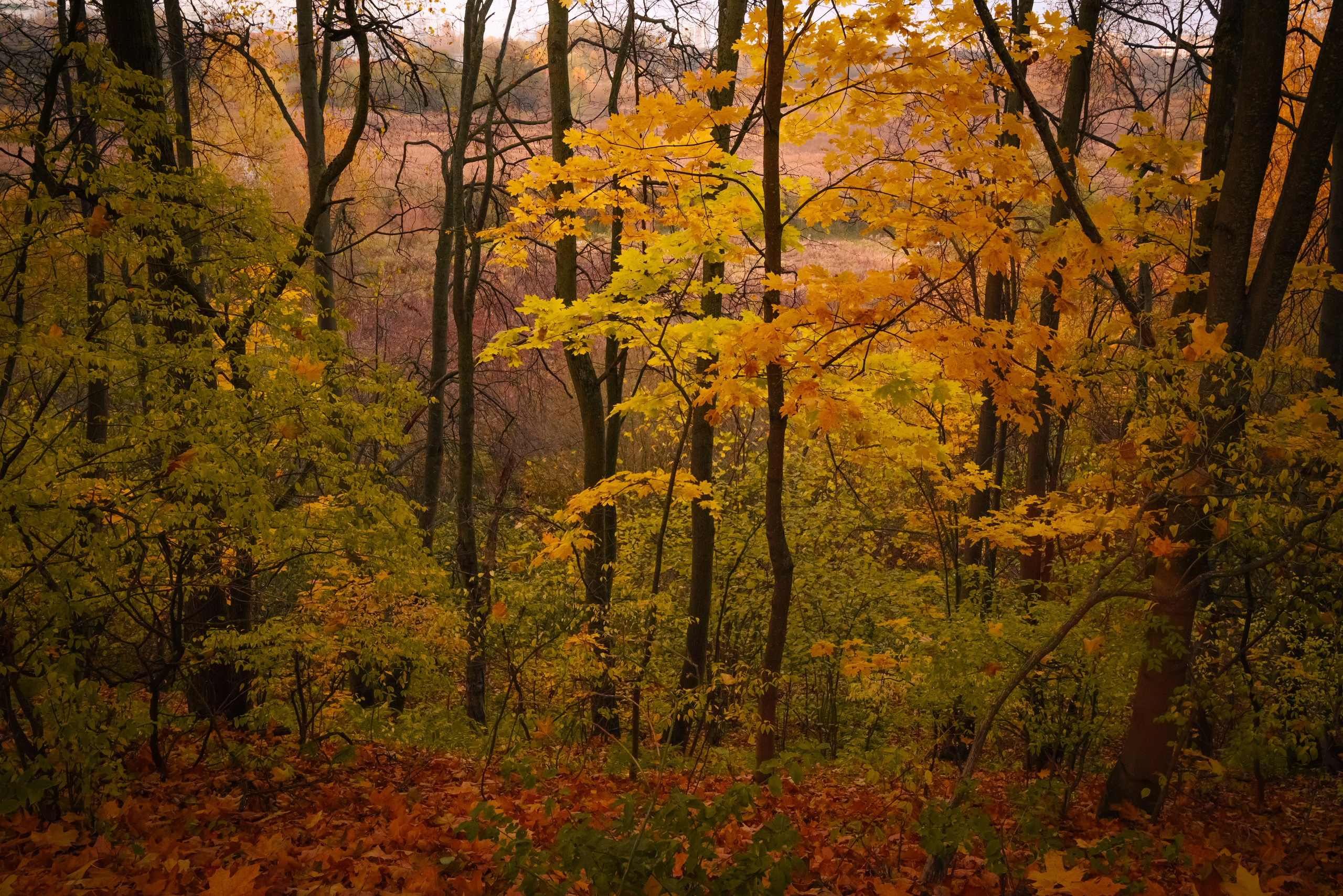 Места. Фотограф в Минске Дарья Кончакова