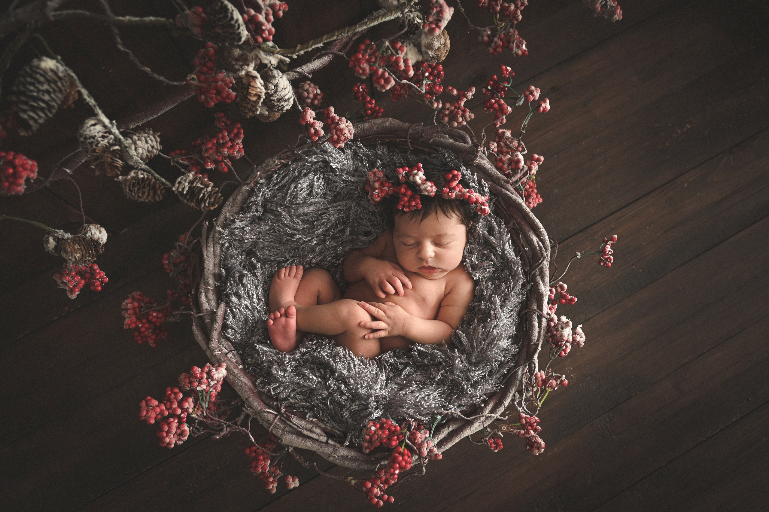 Новый год. Фотограф новорожденных и детей в Барнауле — Екатерина Шапкина