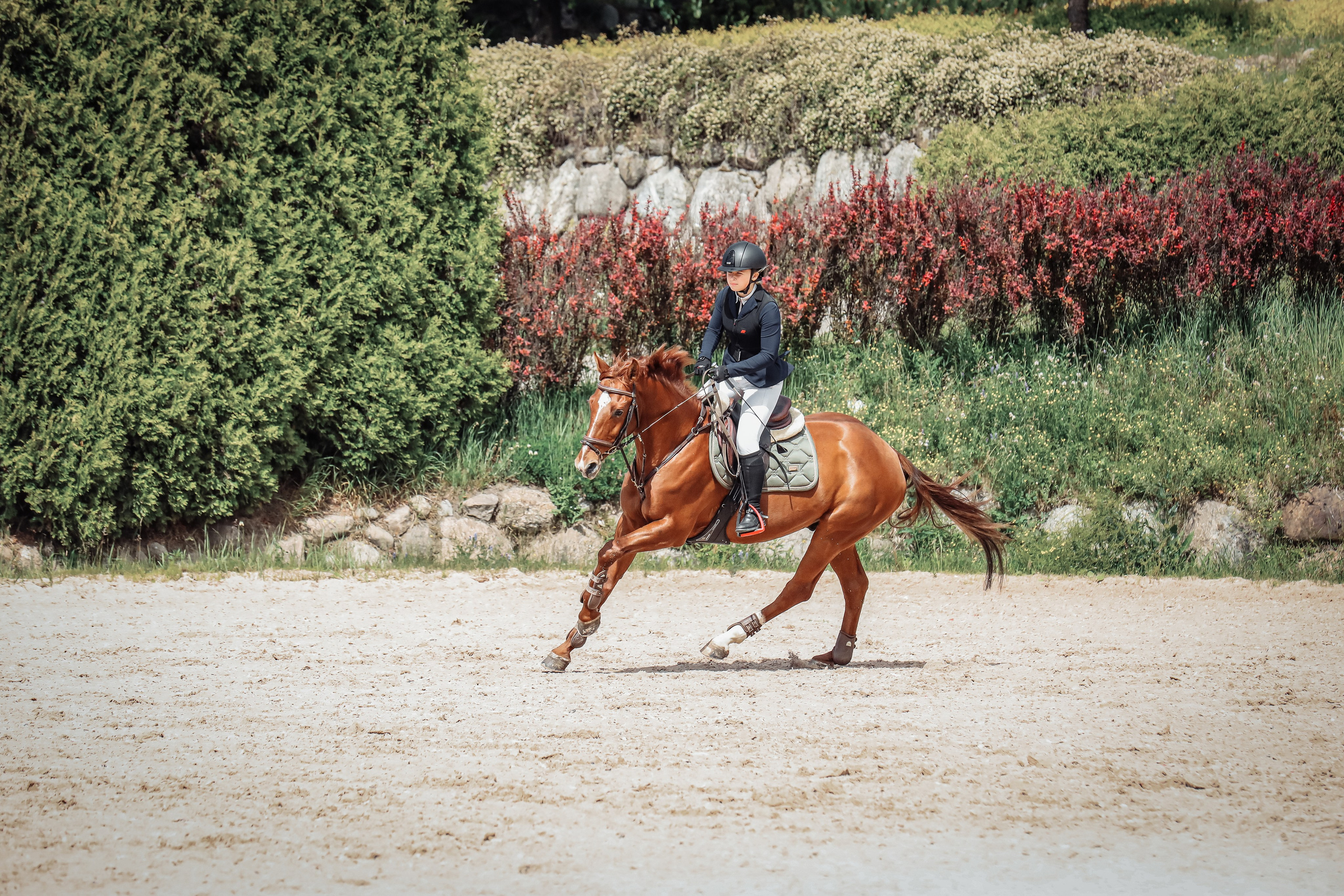 Ева Демидова. Спортсмен по конкуру в Санкт-Петербуре