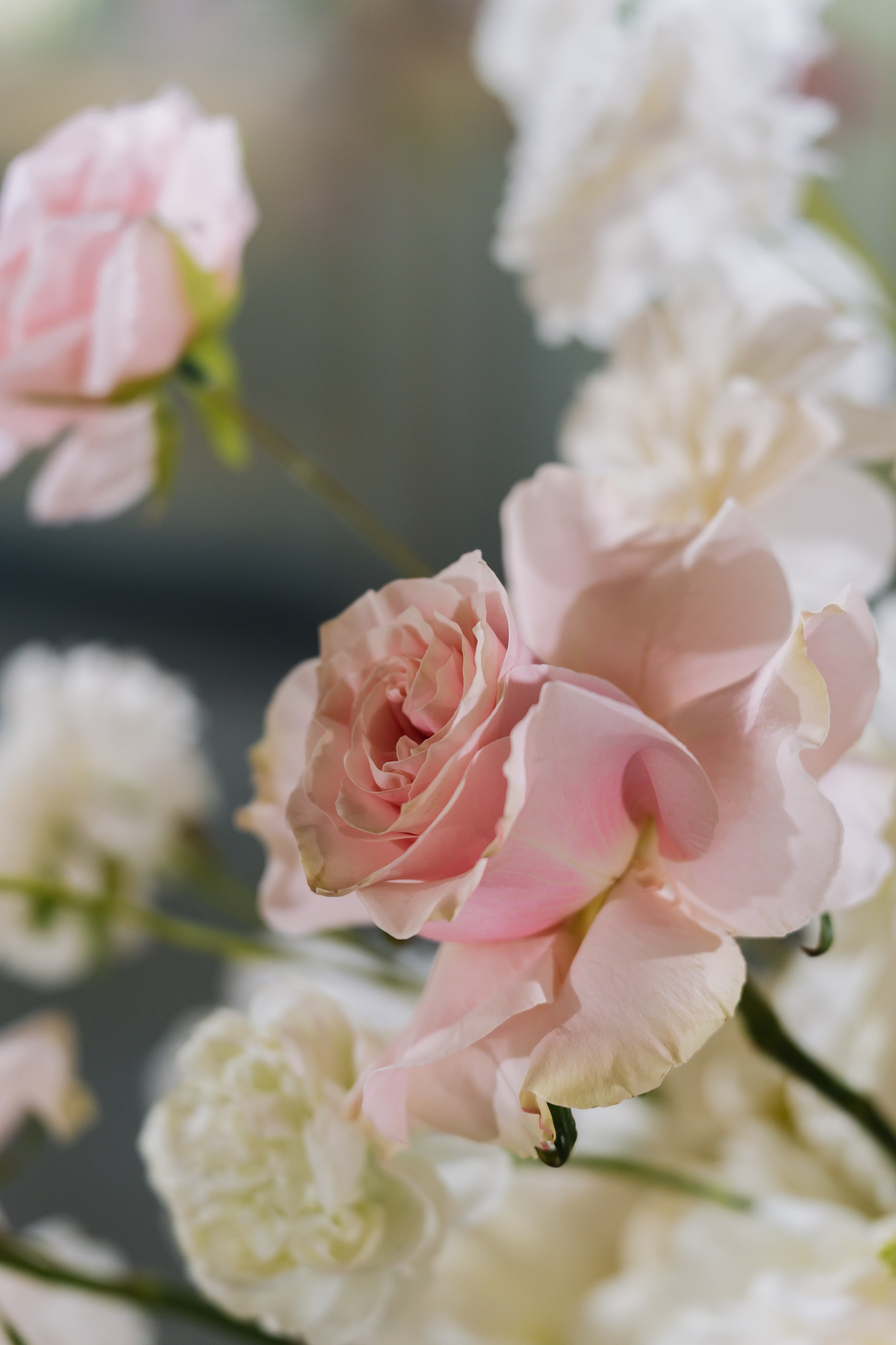 Данила и Марина 13.08.2025. Свадебный фотограф в Москве Яна Деньгина