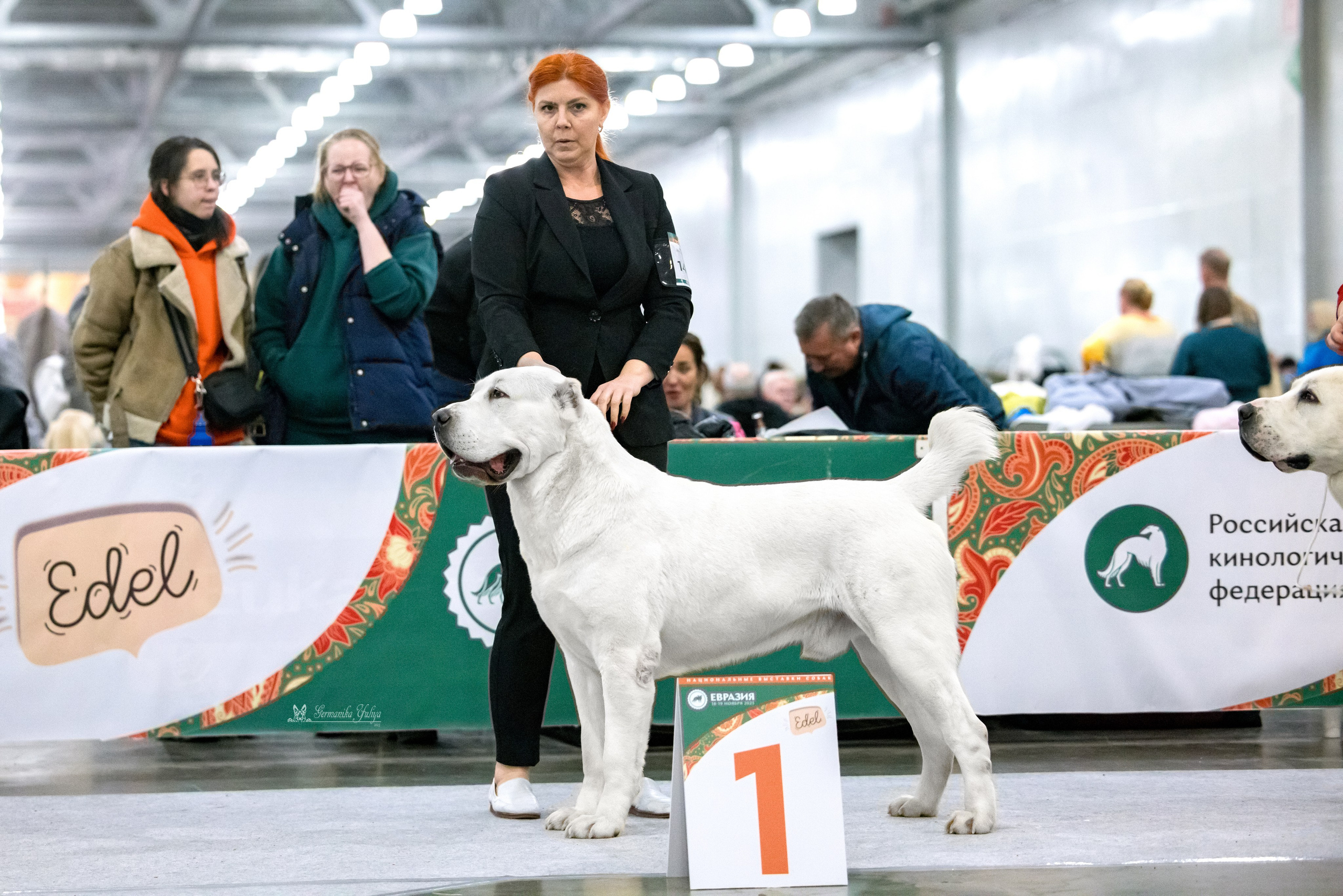 ЕВРАЗИЯ 18-19.11.2023. Фотограф-анималист Юлия Германика