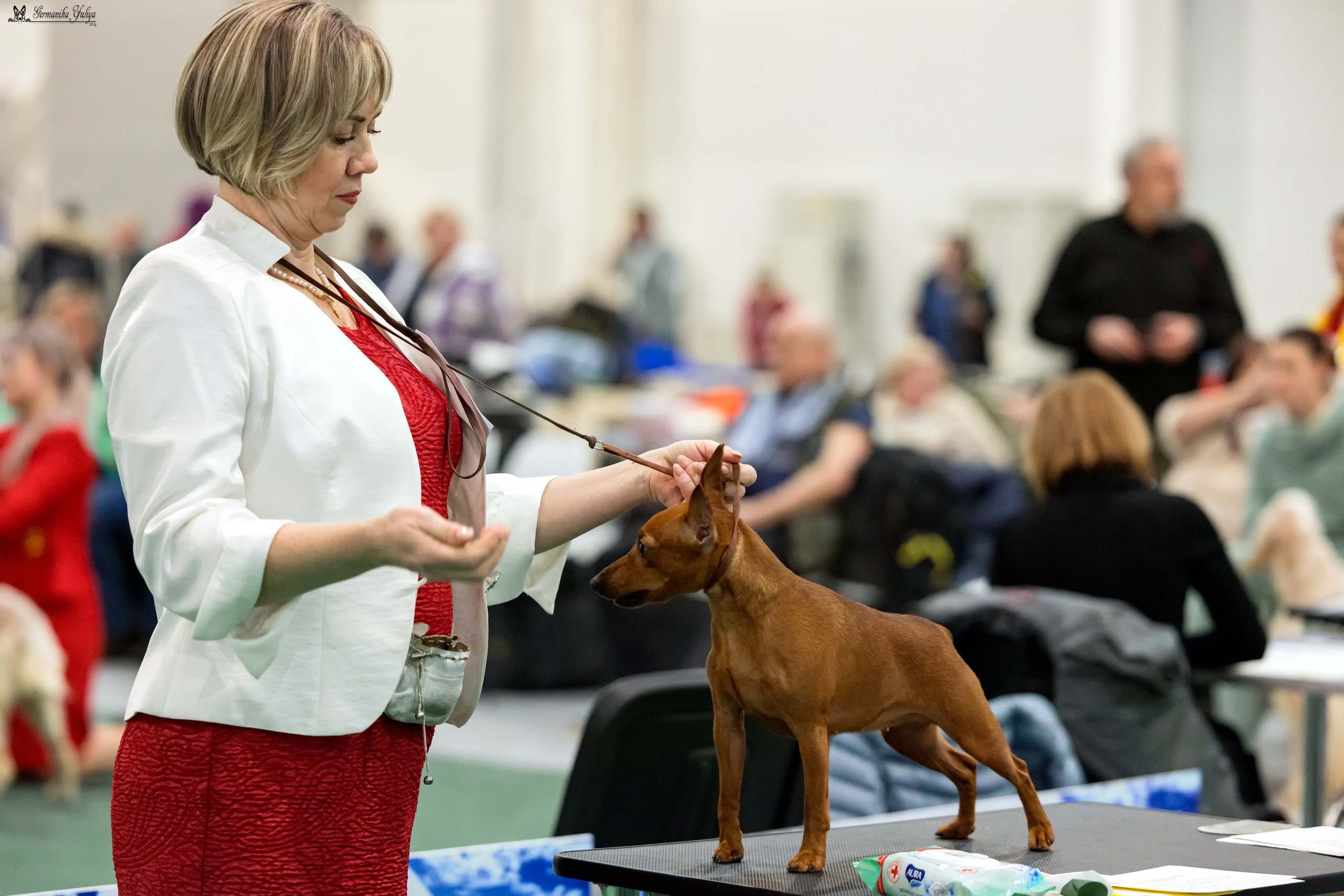 Сабанеевка 26-27.01.2024. Фотограф-анималист Юлия Германика