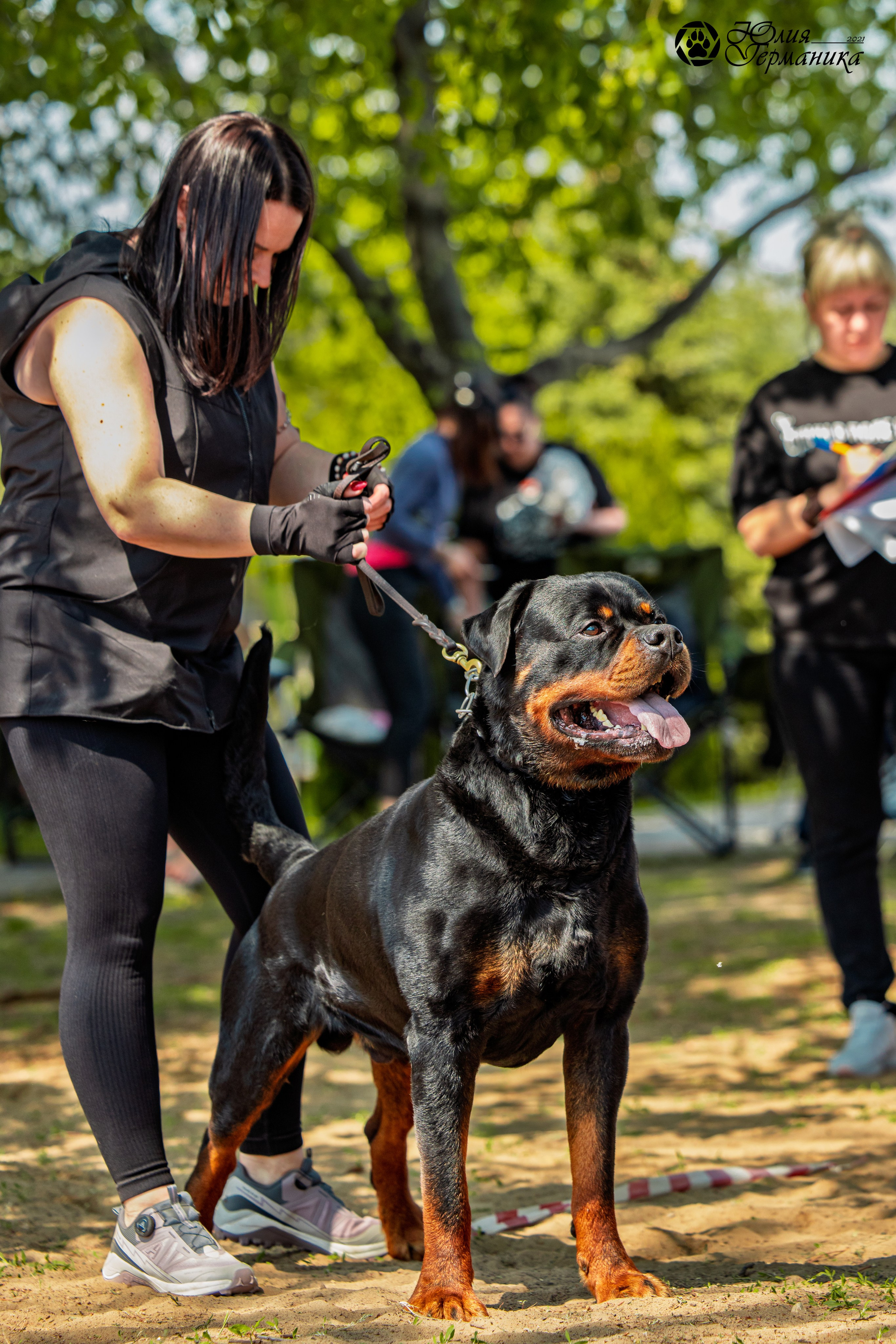 Саратов моно ротвейлеров 26-27.04.2025. Фотограф-анималист Юлия Германика
