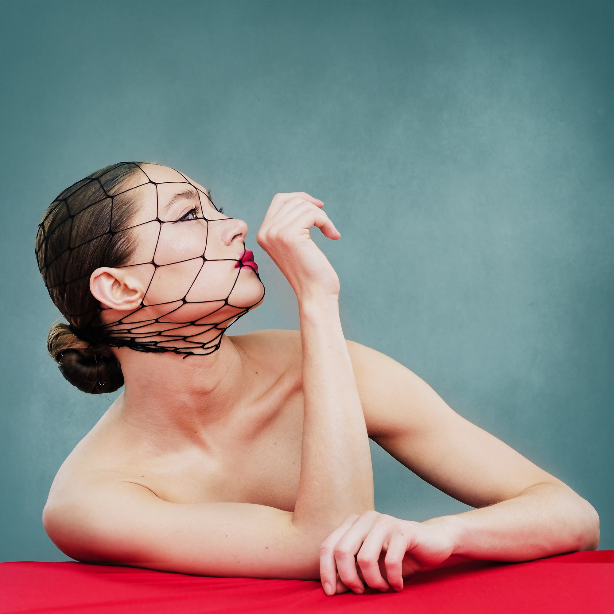 В сетке. Professional photoartist in St. Petersburg (wedding, reportage, portrait, model book, love story) Alexander Shvedov