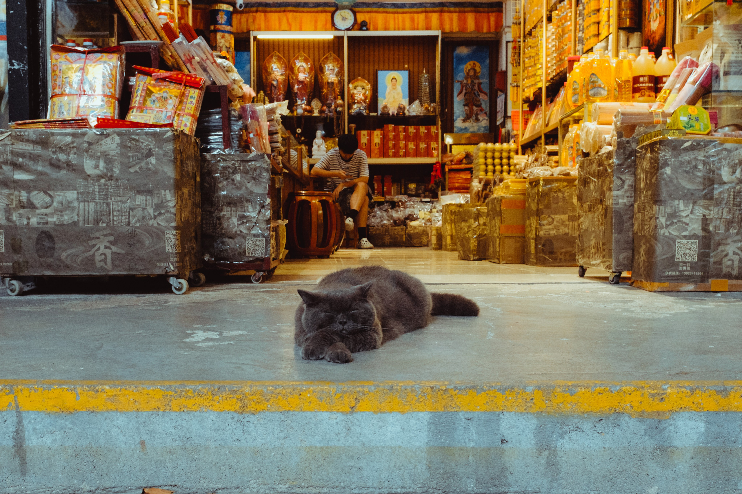 Стрит. Фотограф Минск