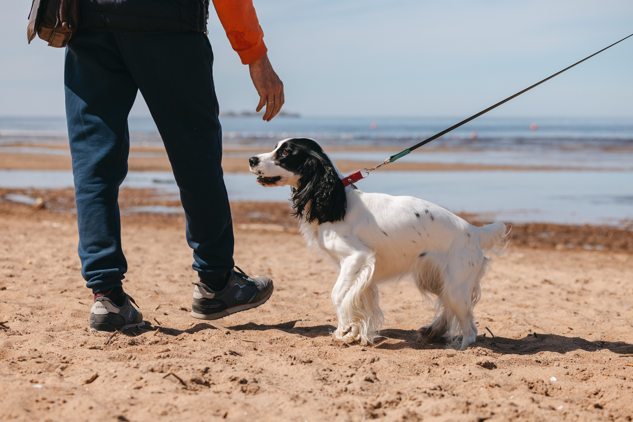 Спанимания. Фотограф анималист Осипчикова Мария