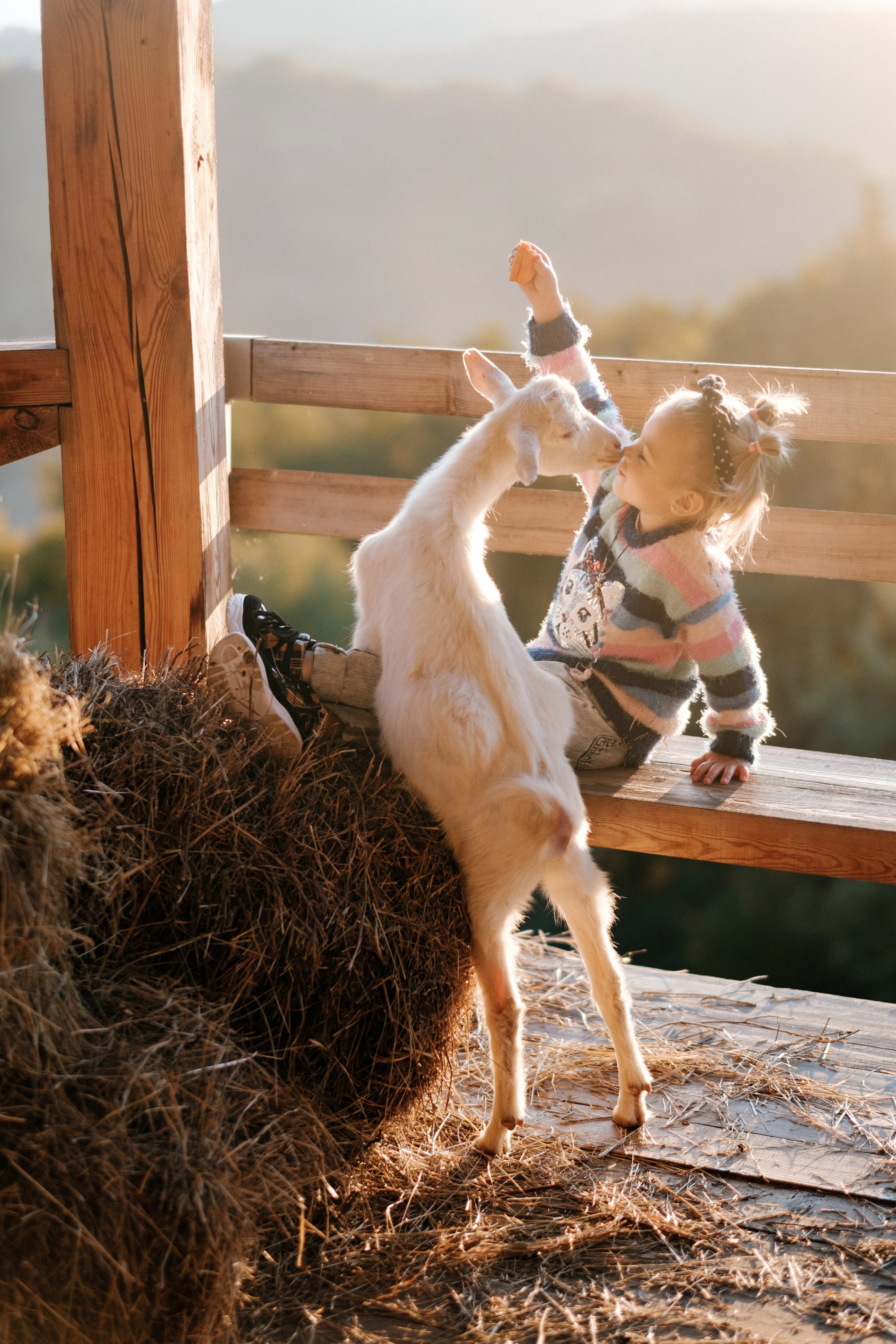 Экзархо. Свадебный Видеограф Фотограф в Сочи