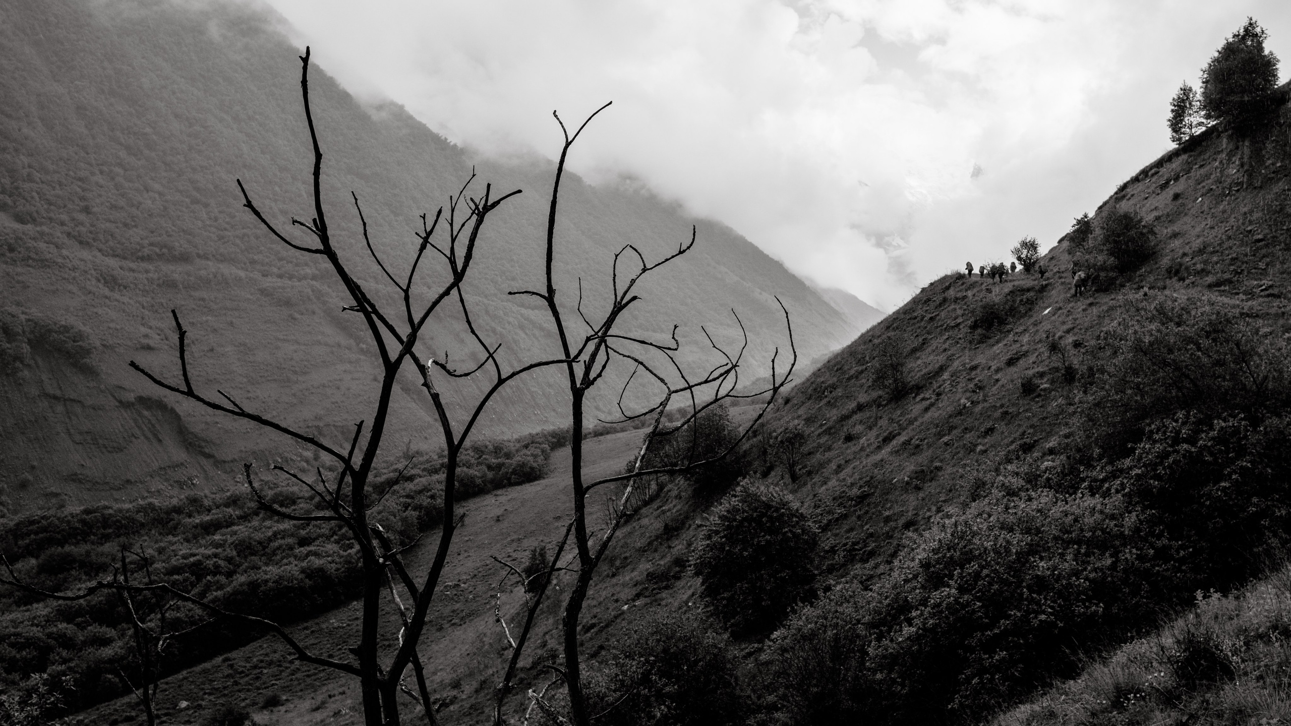 EXHIBITION. Репортажный и интерьерный фотограф, фотохудожник