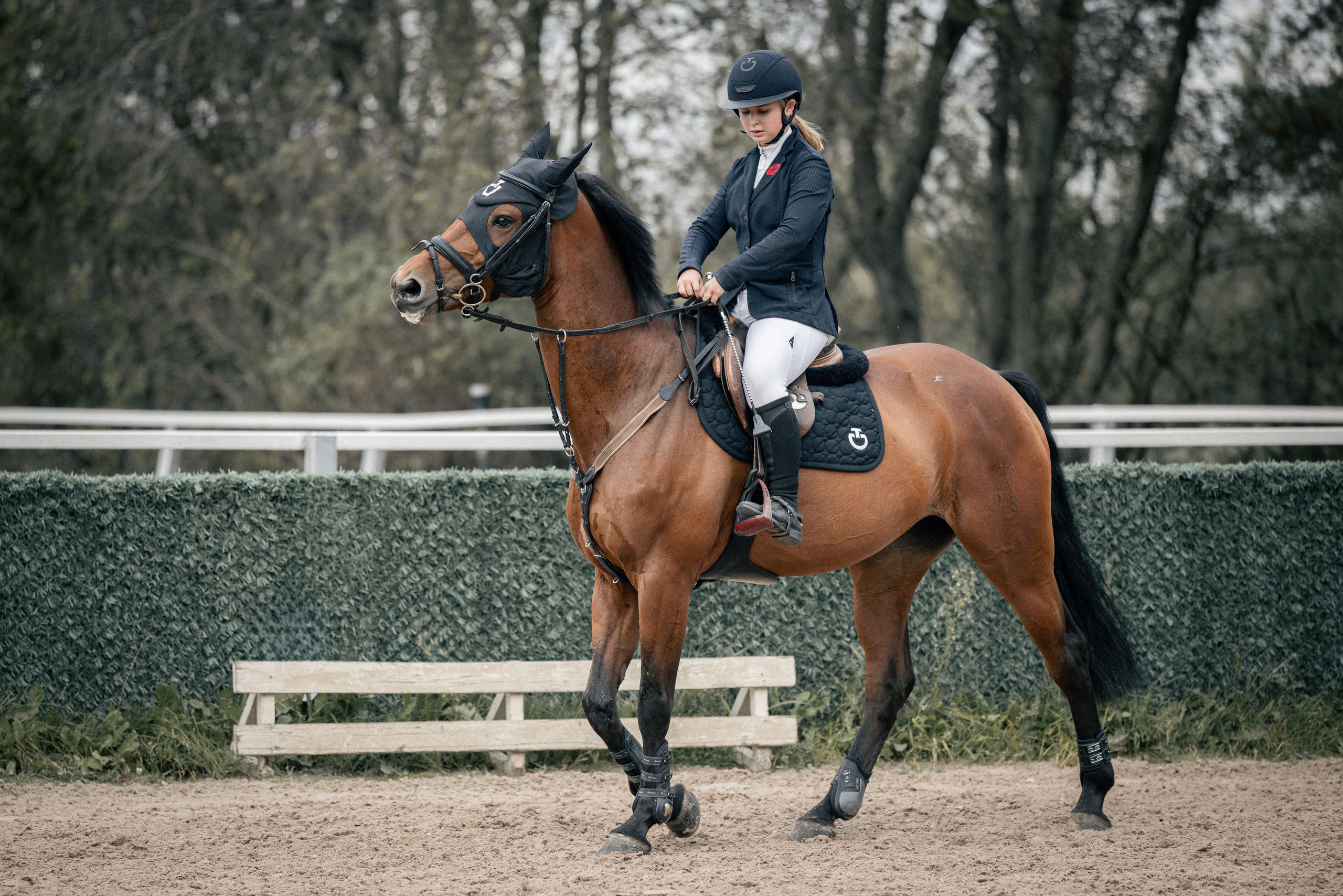 Лошади Евы Демидовой. Ева Демидова. Спортсмен по конкуру в Санкт-Петербуре