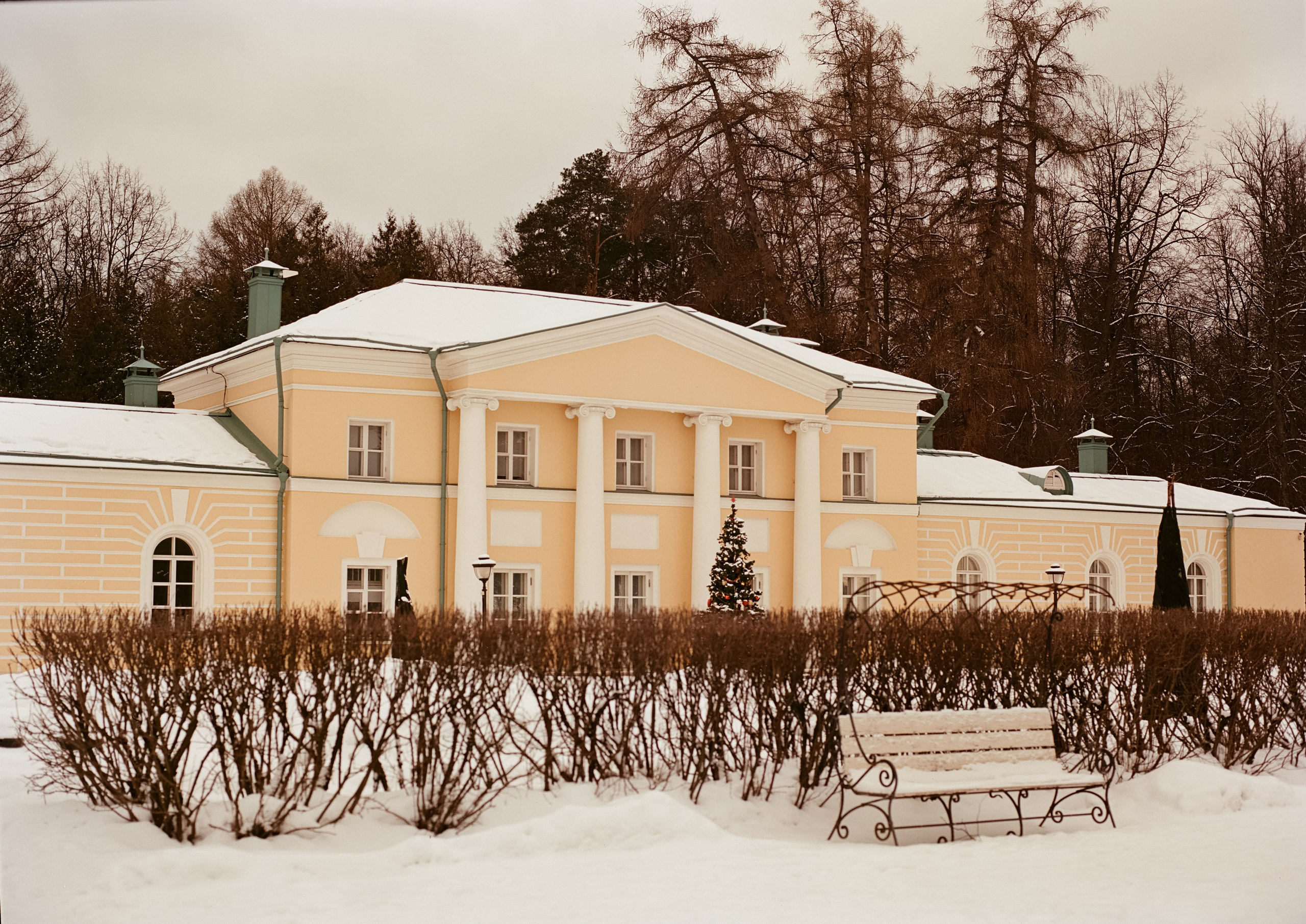 Aeronega ISO 100 (Aerocolor IV)