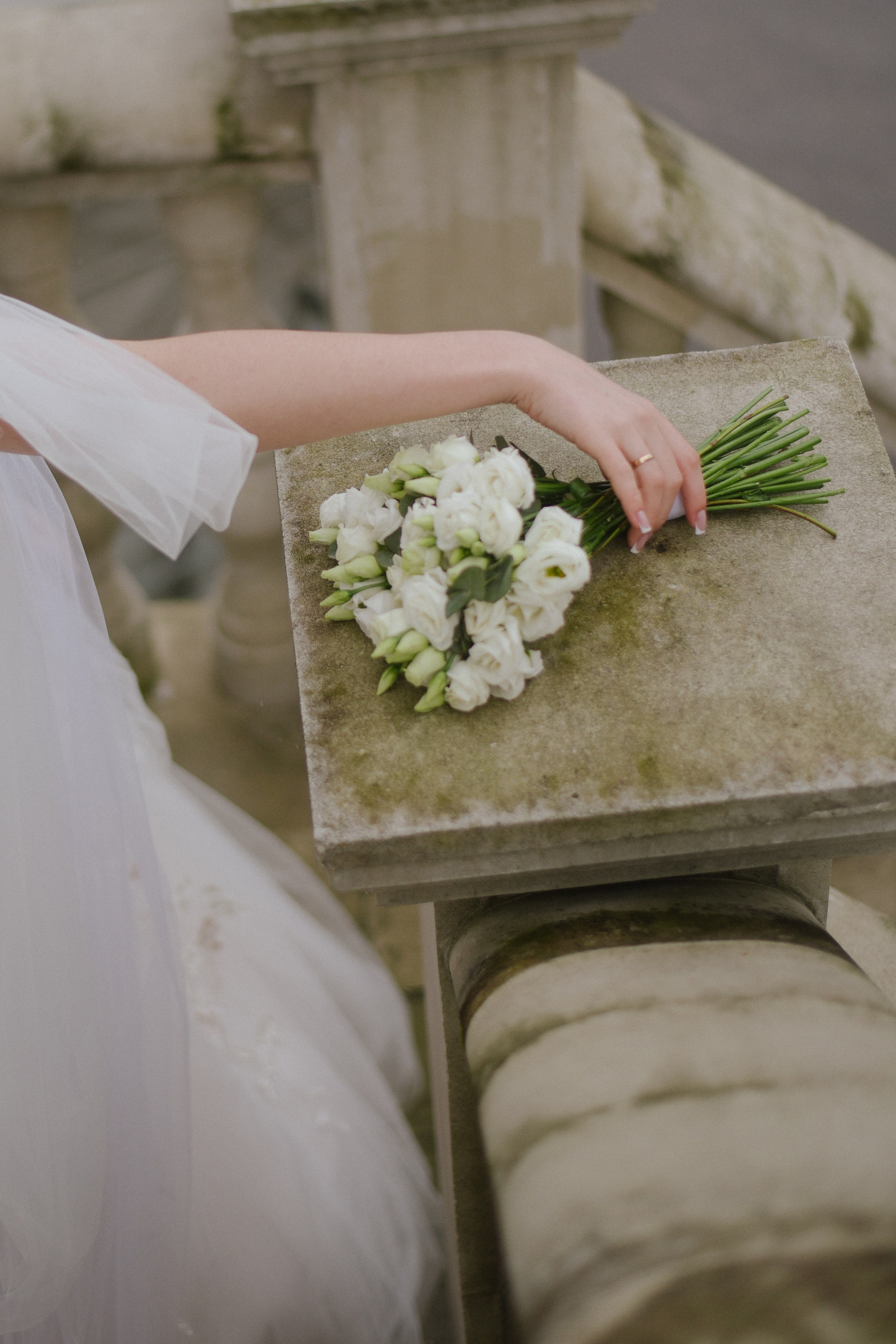Майский снег. Фотограф Лола Волна, город Москва