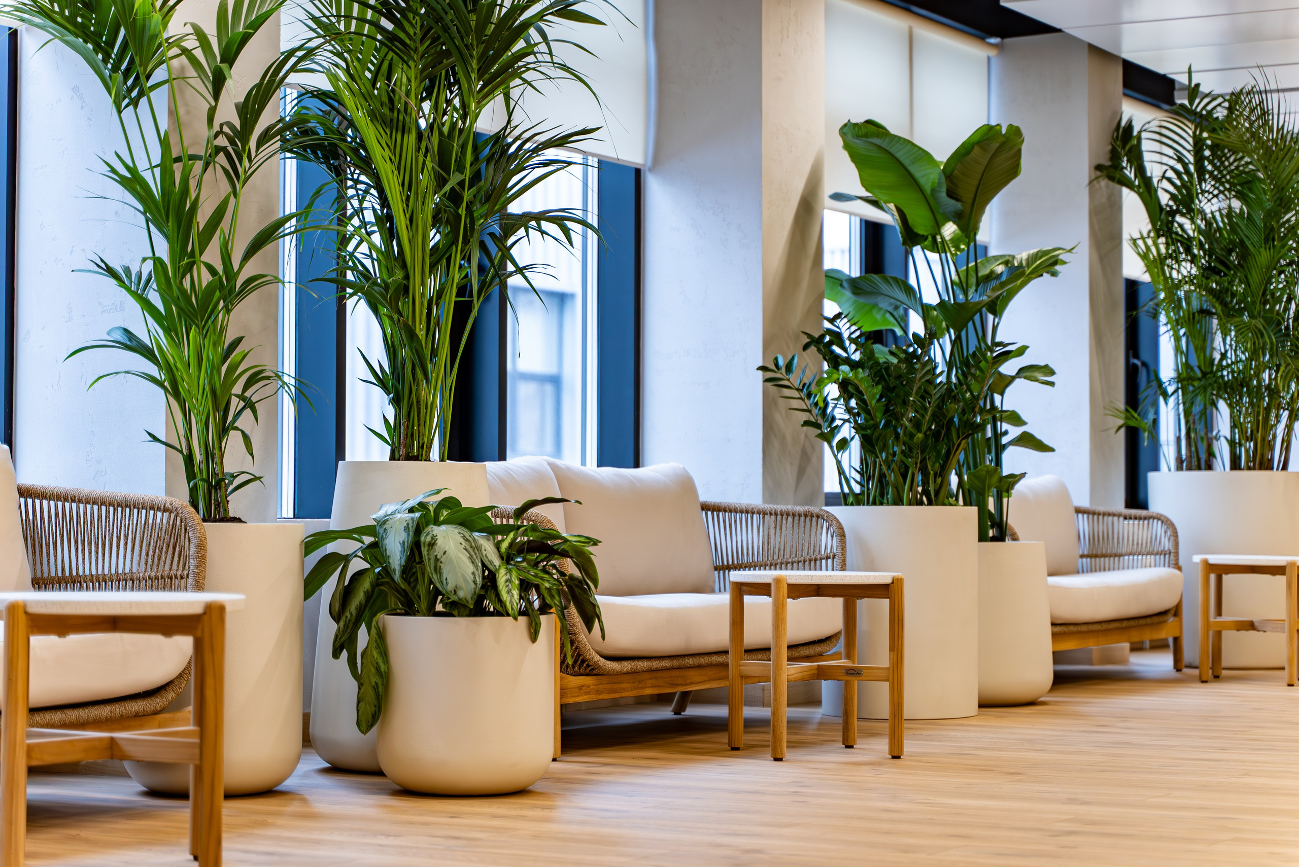 Индустриальный парк — озеленение. KUSTOV PRODUCTION — профессиональная фотосъёмка в Москве