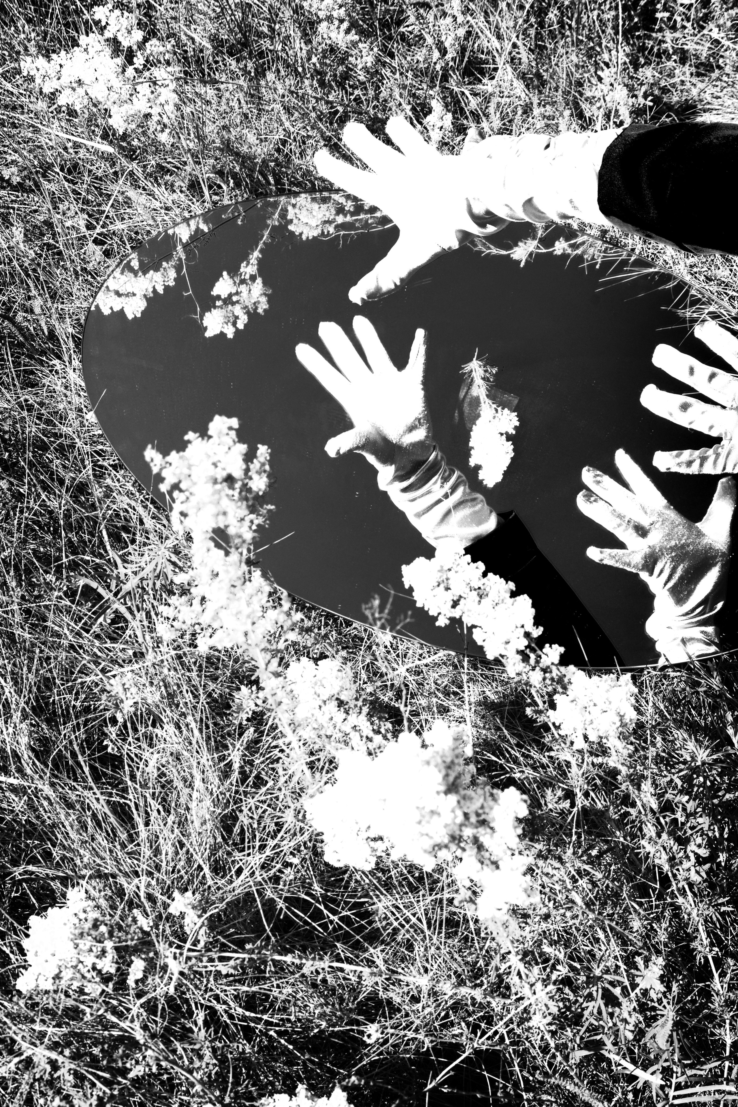TERRA NOSTRA. Yulia Yurchevskaya | Art Director & Visual Visionary