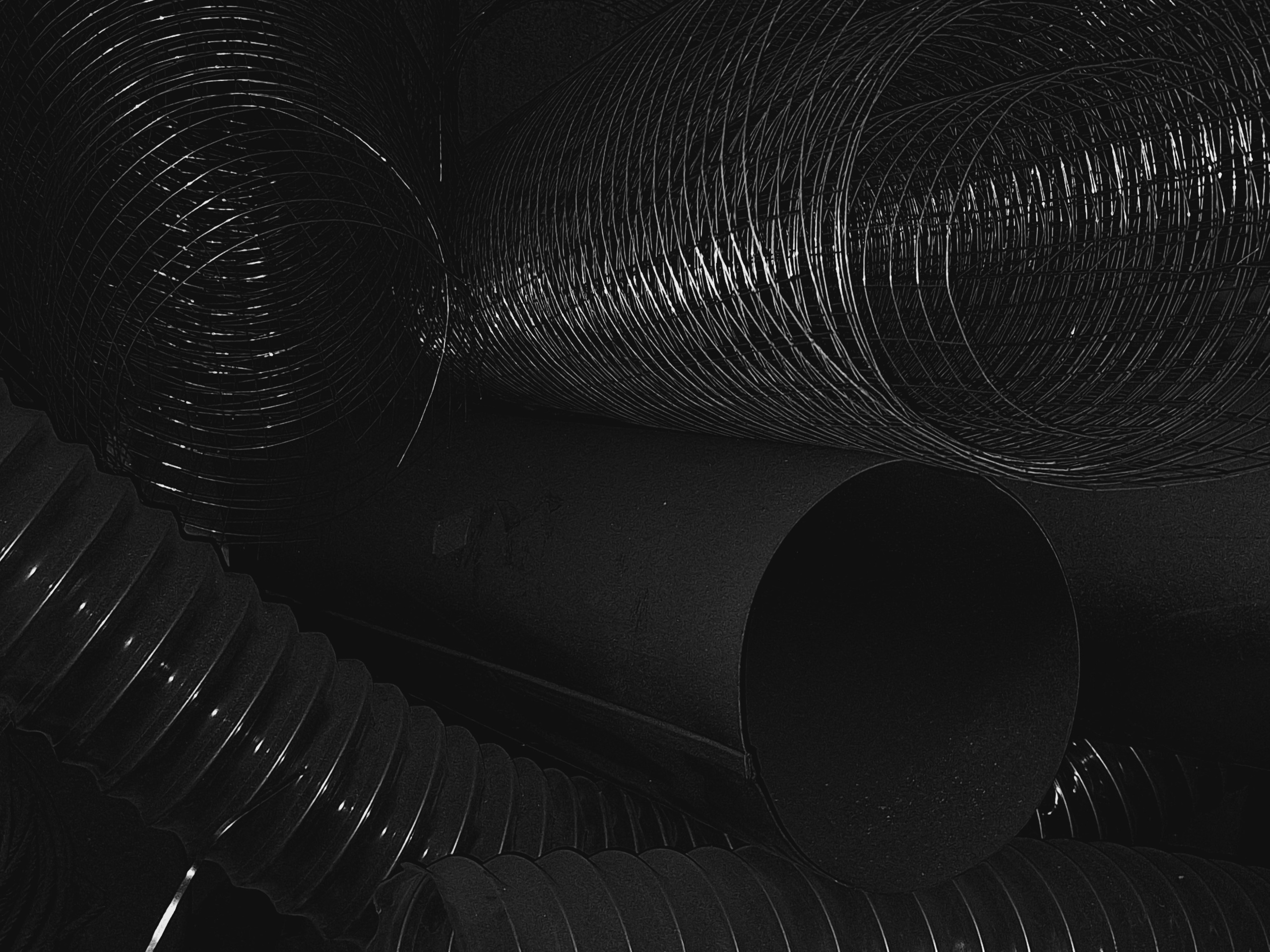 ㅤㅤ. Анна Мильч