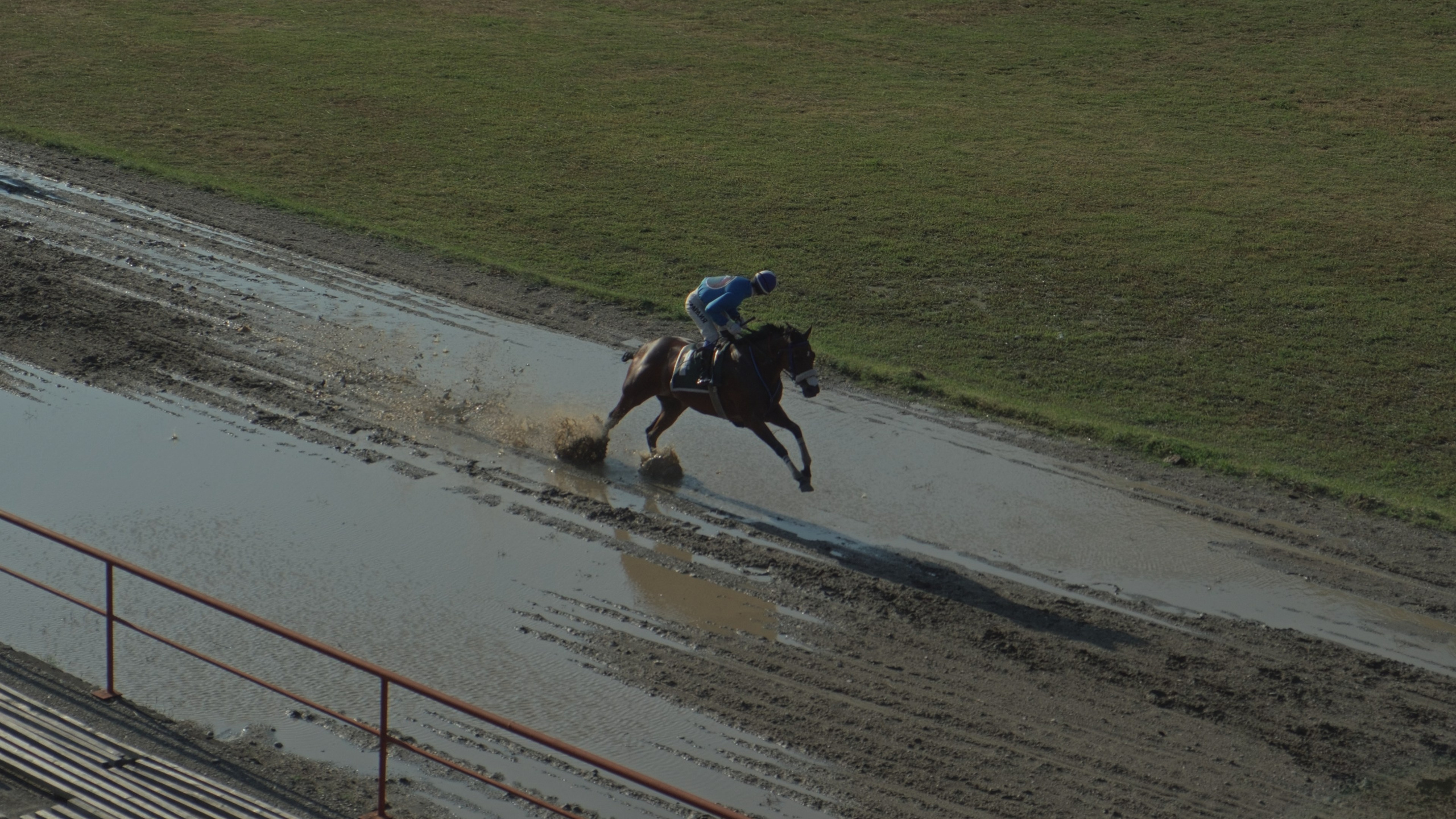 Абхазские скачки. Главная