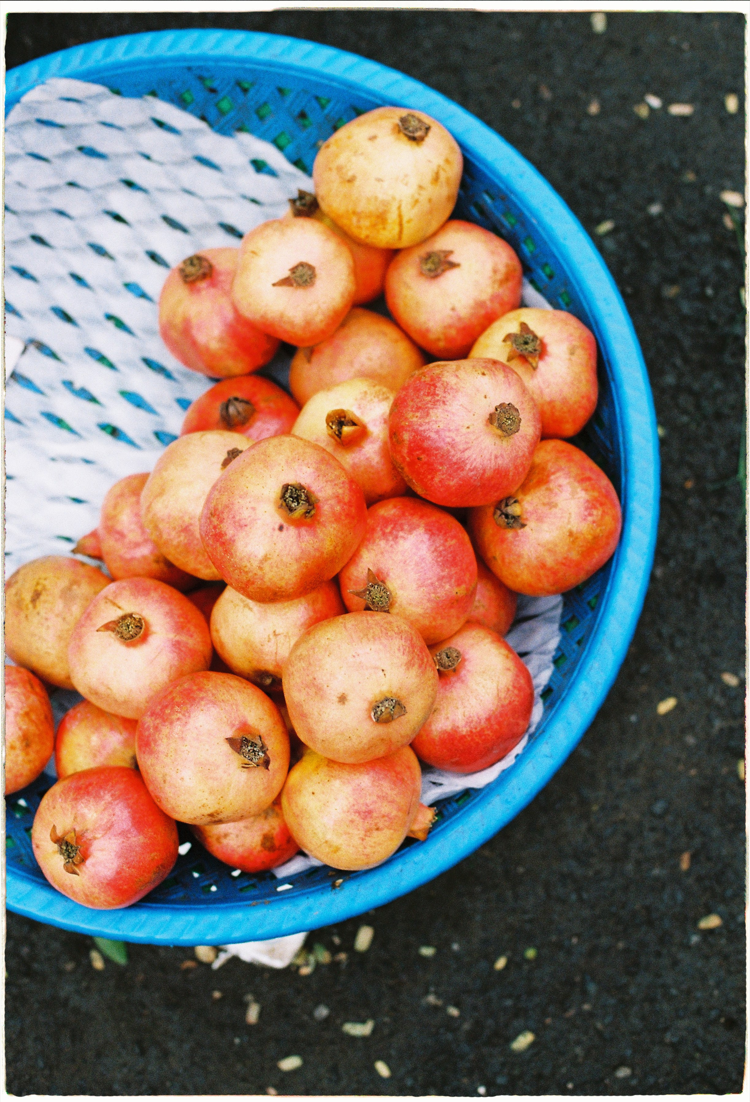 Danang visual diary. Film Photographer in Da Nang, Vietnam — Tanya Parfenteva