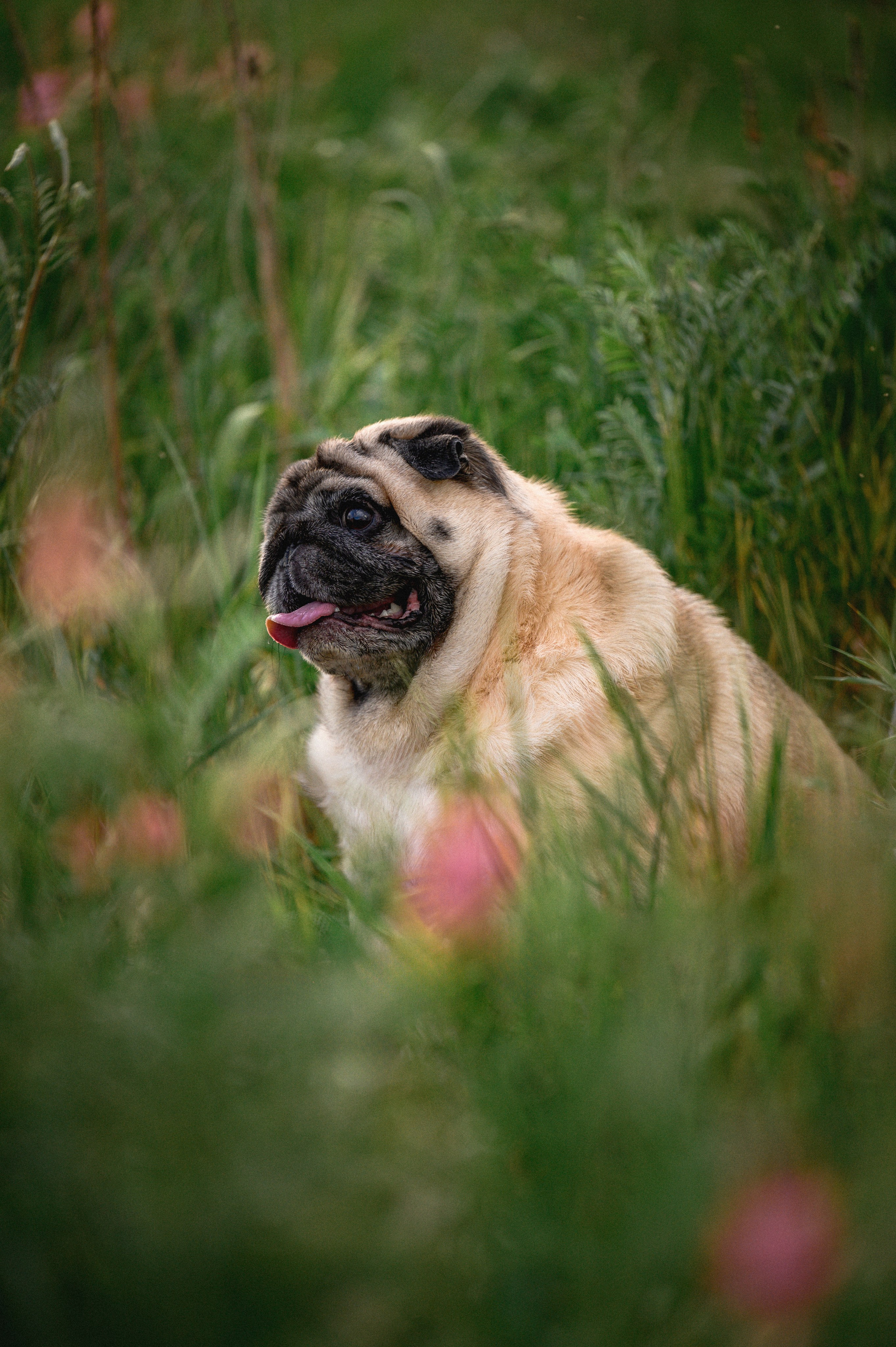 Весенняя прогулка. Фотограф в Ростове —на — Дону