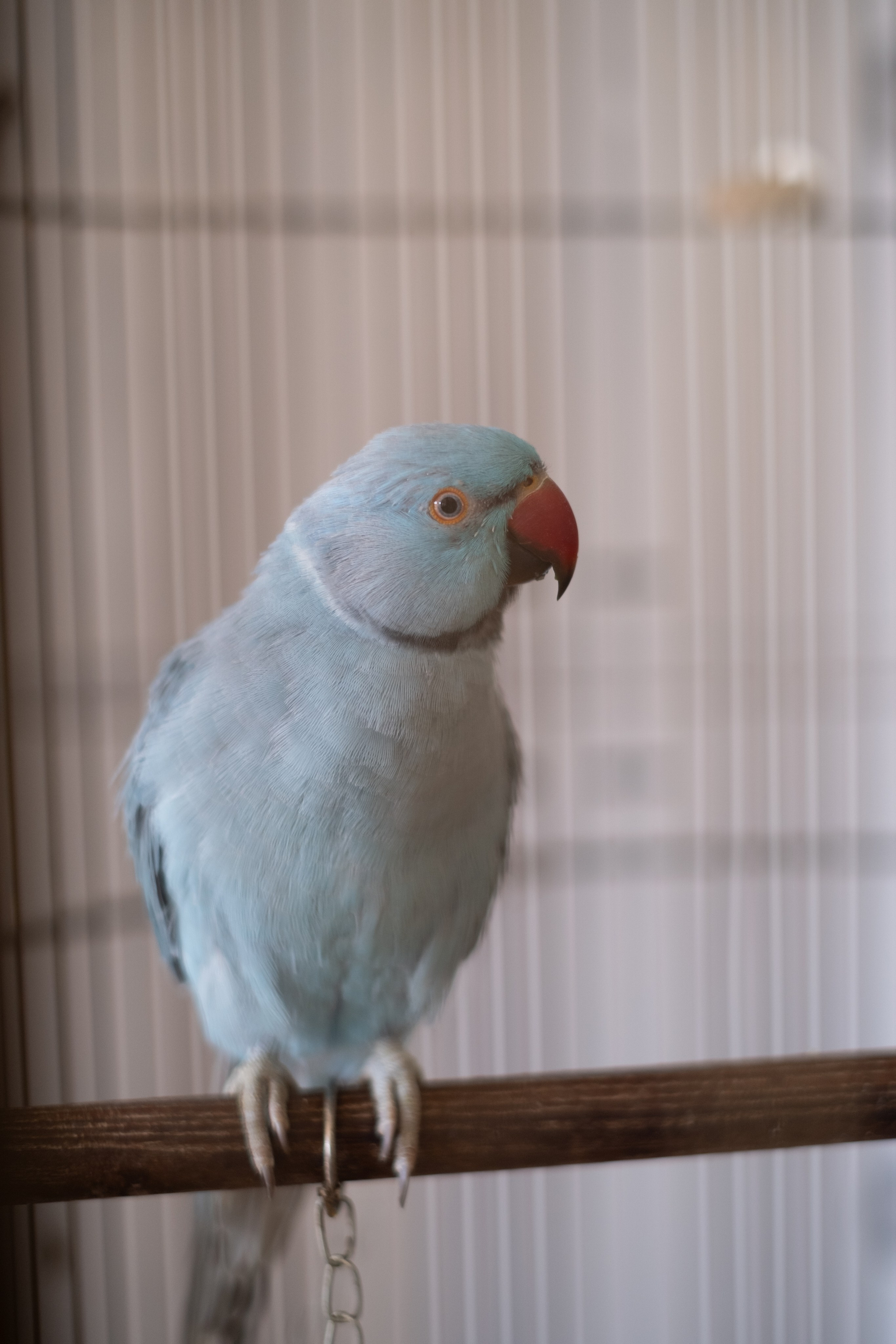 Фотограф на юбилей в Крыму | Съемка дня рождения | Илья Желдак. Профессиональная фотосъемка в Крыму. Натуральные эмоции и живые кадры. Забронируйте дату прямо сейчас!