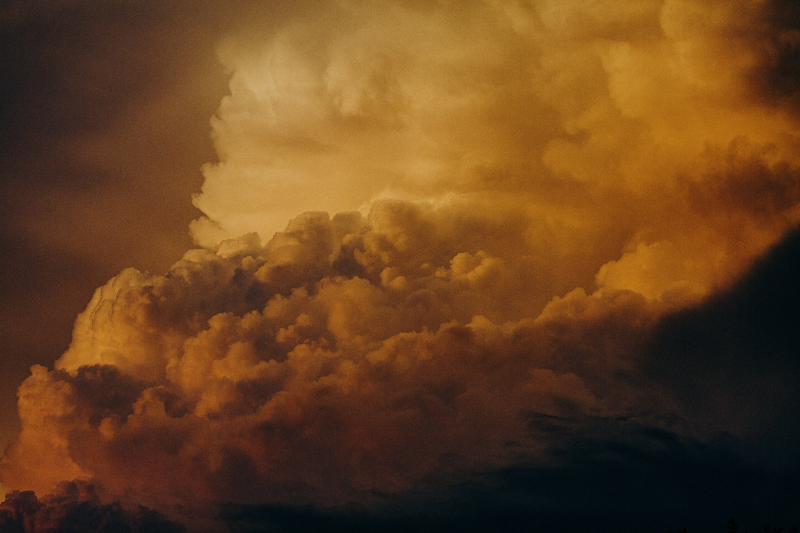 Elbrus. Свадебный и семейный фотограф в Краснодаре Роман Моско