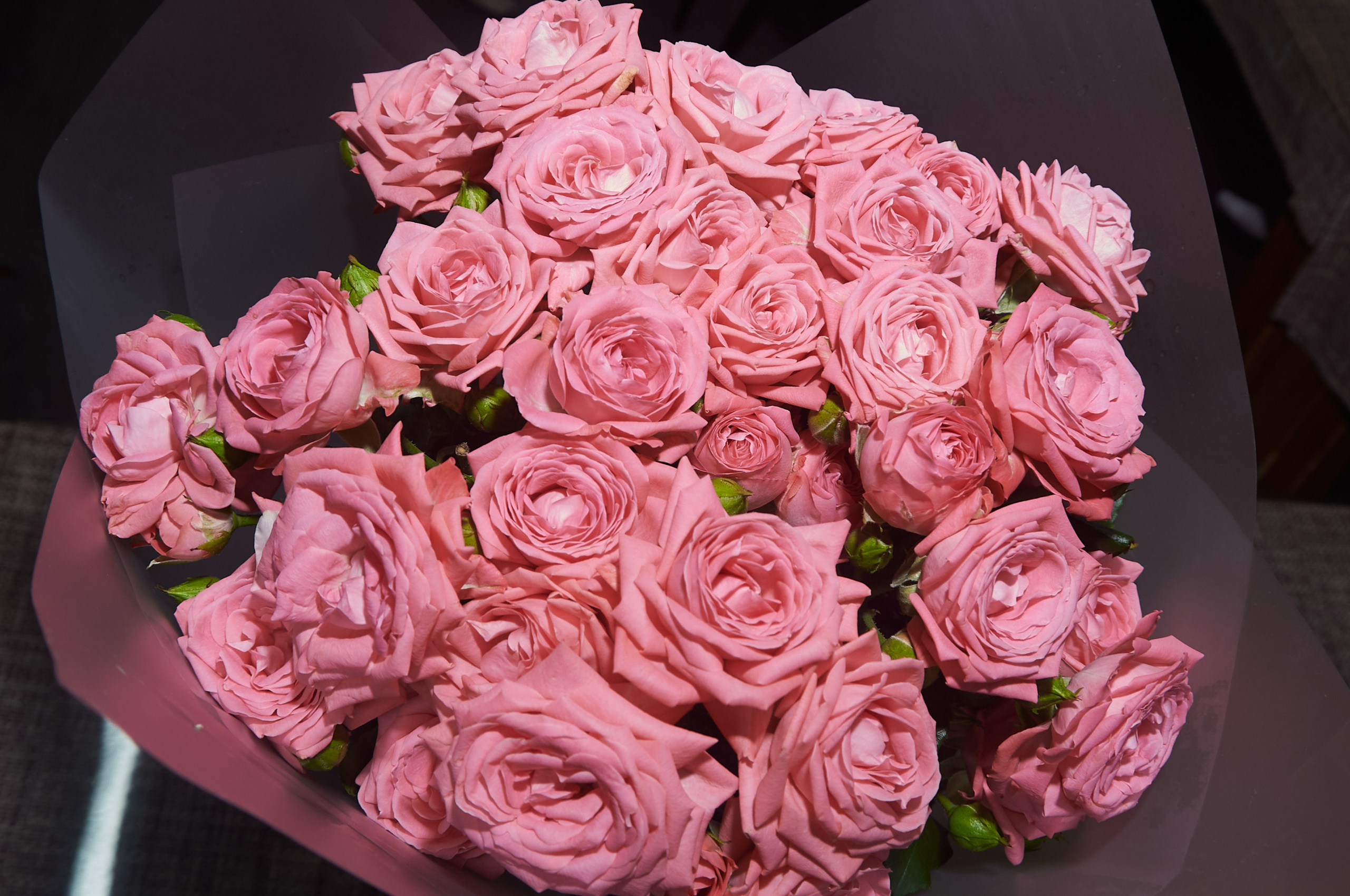 Репортаж ваших праздников. Семейный и Свадебный фотограф