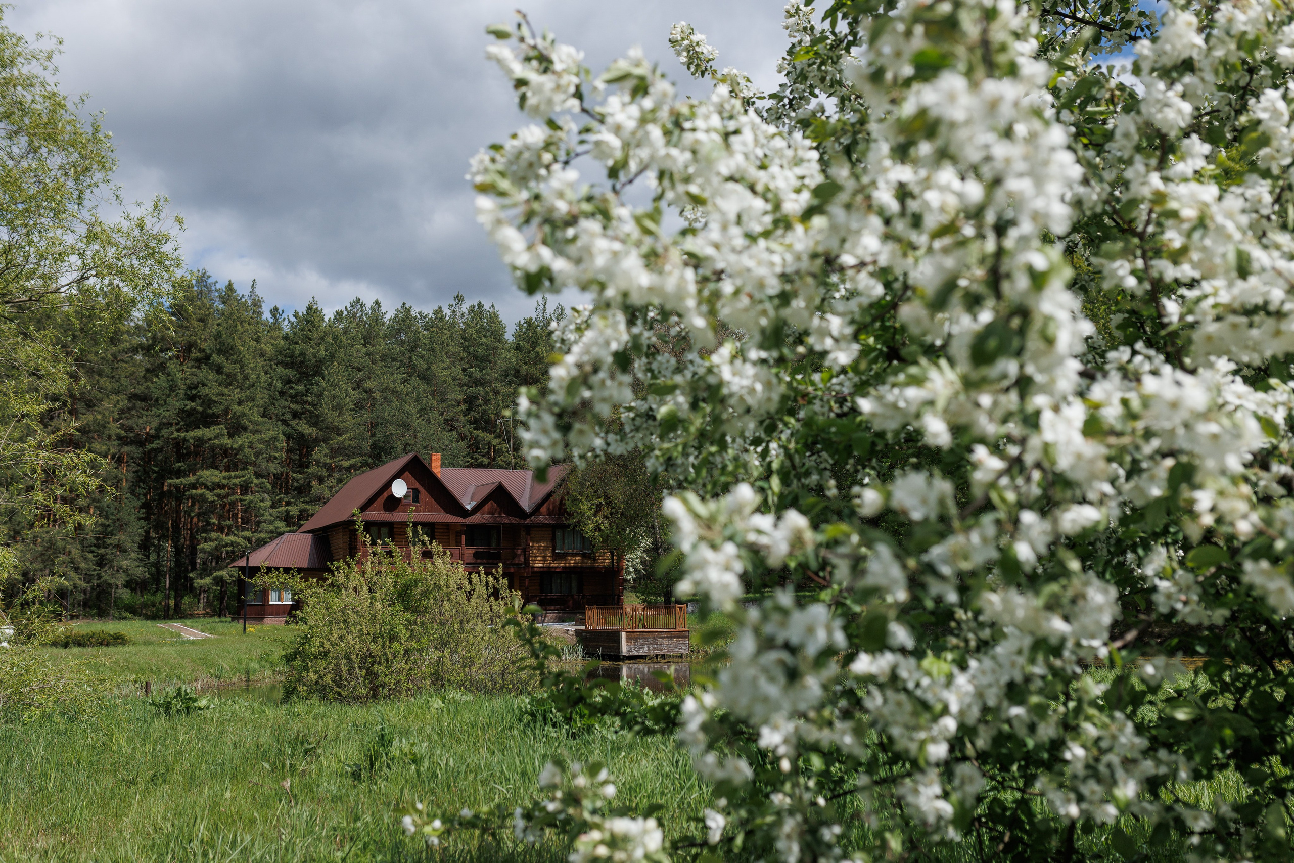 База отдыха «Металлург». Фотограф городских и семейных событий в Нижнем Новгороде Артем Карпухин