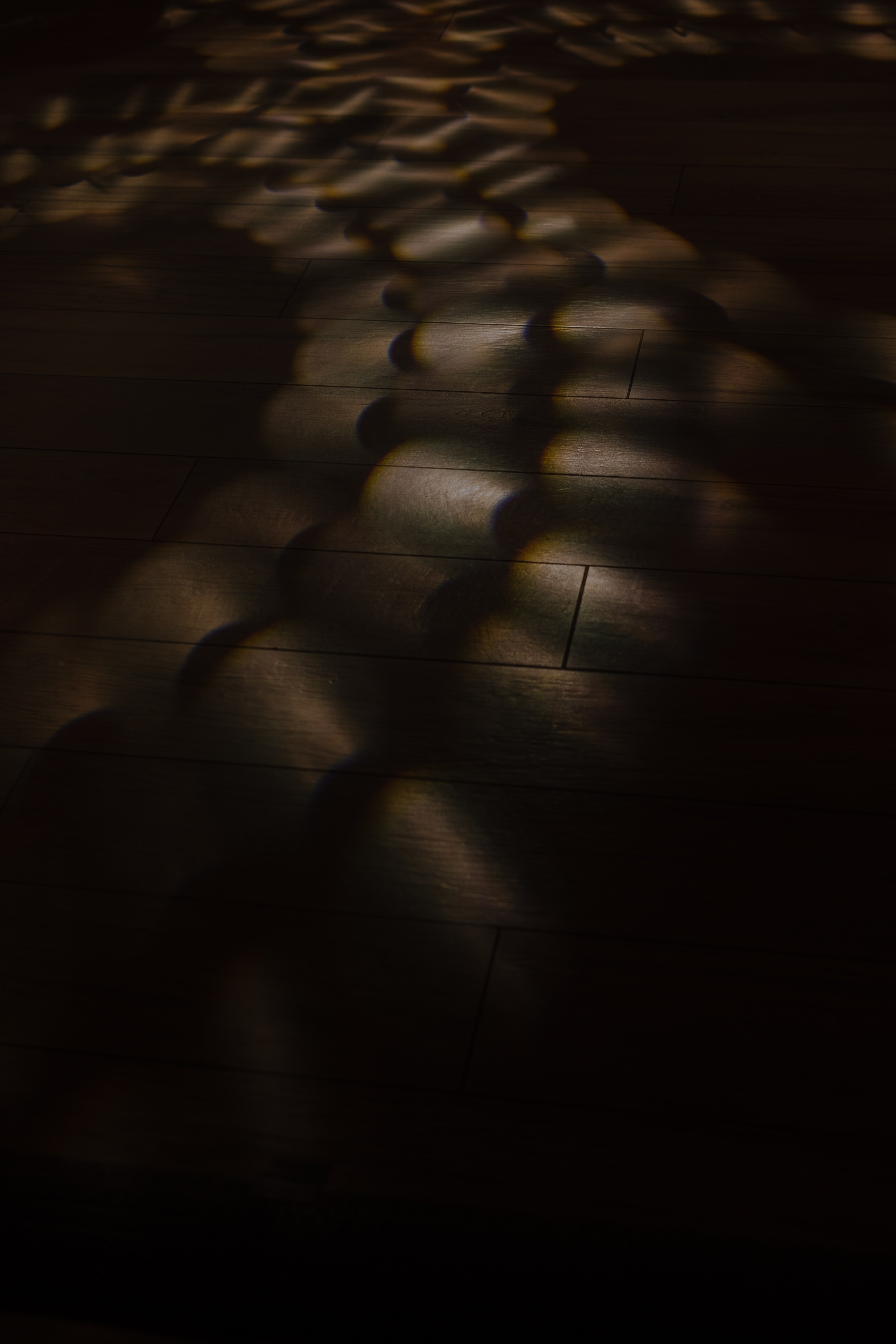 Анжела Данила. Григорий и Ольга Насинник — свадебный фотограф Архангельск