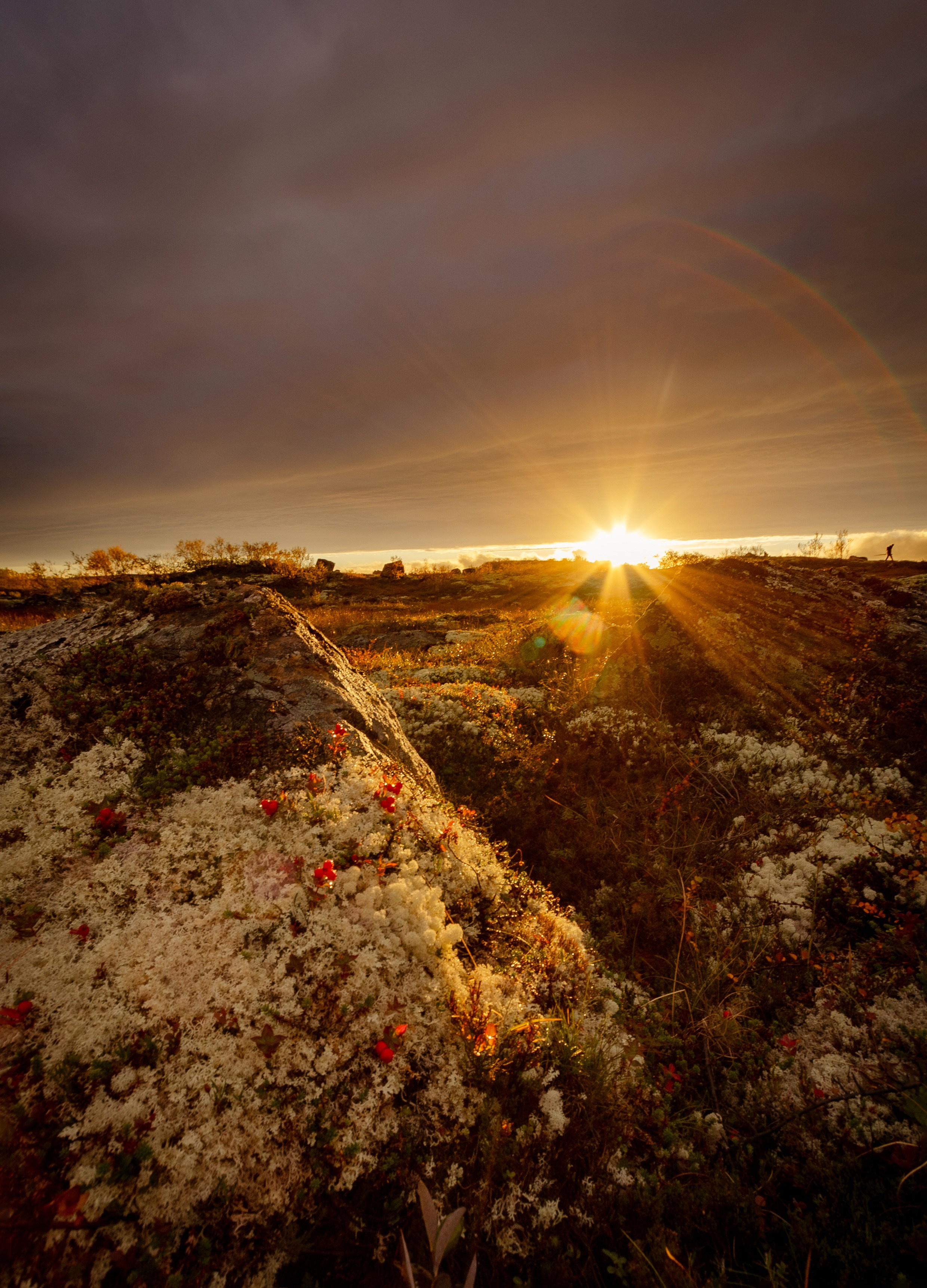 Travel. Индивидуальная и семейная съёмка. Москва, Наталья Самохвалова